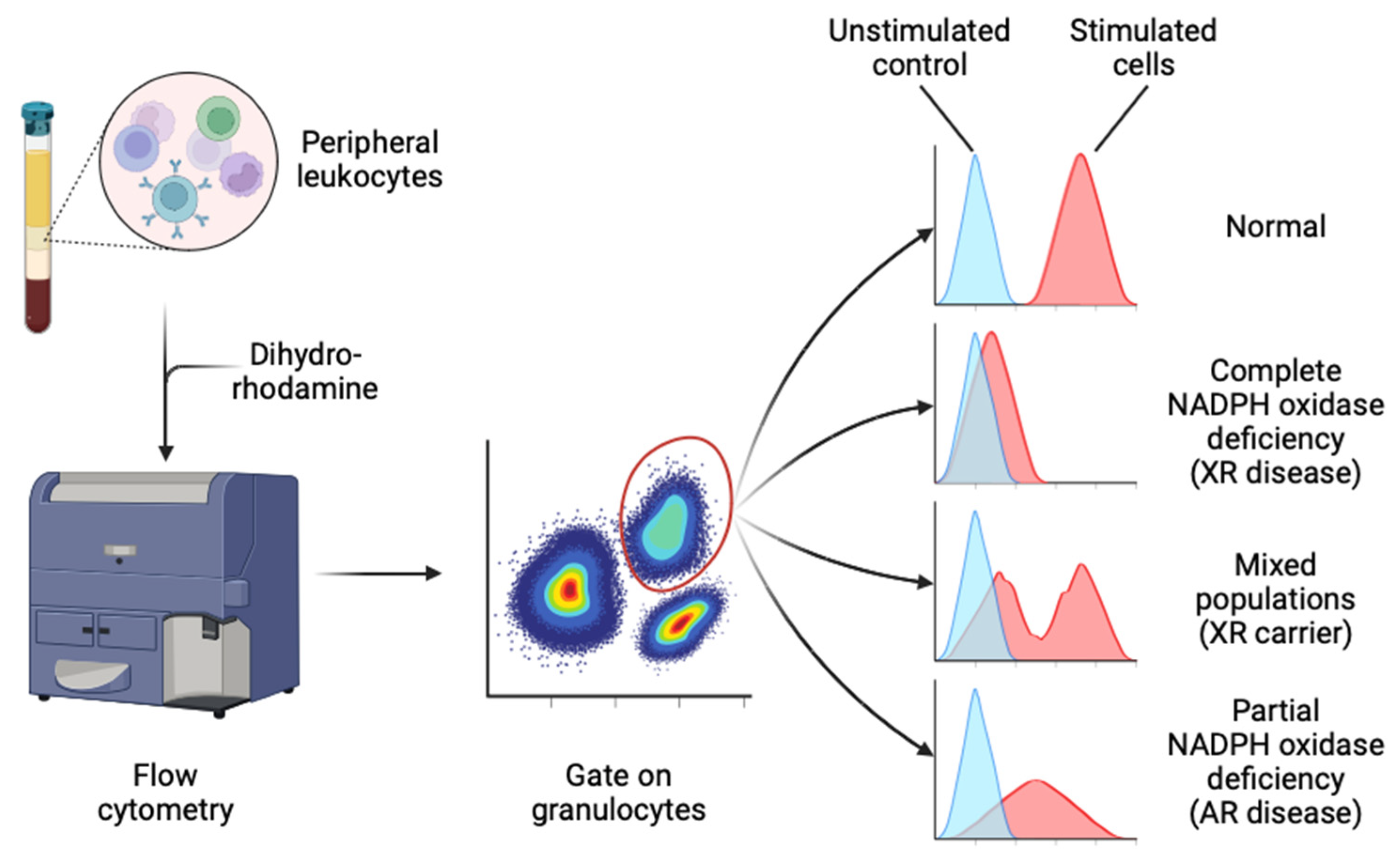 Preprints 112485 g004