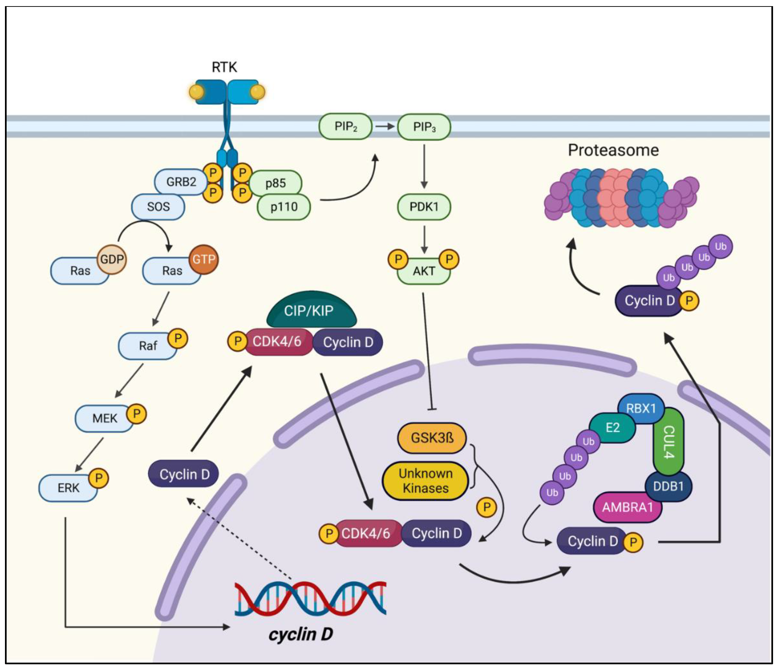 Preprints 77513 g001