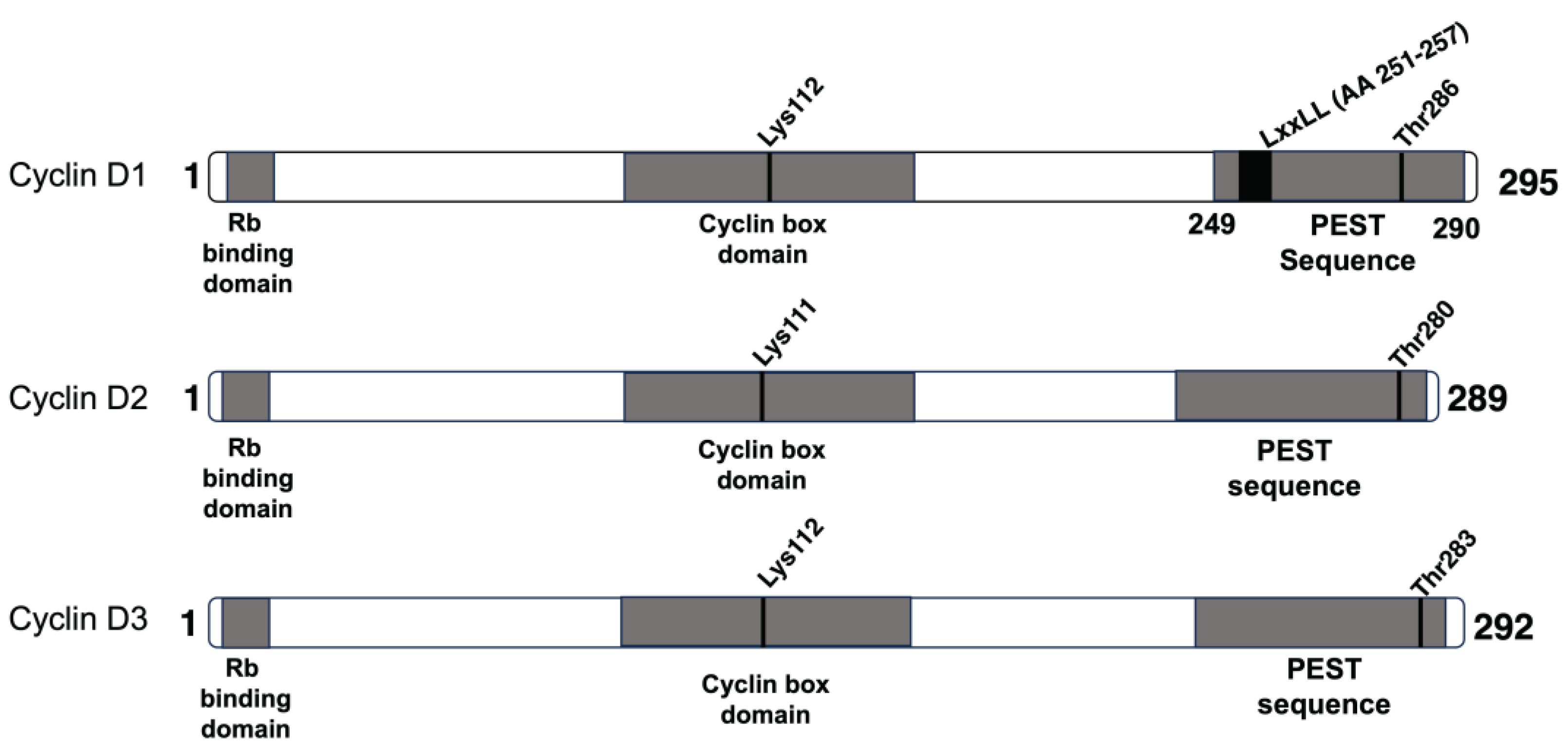 Preprints 77513 g002