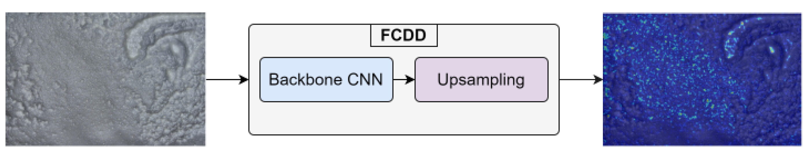 Preprints 104974 g002