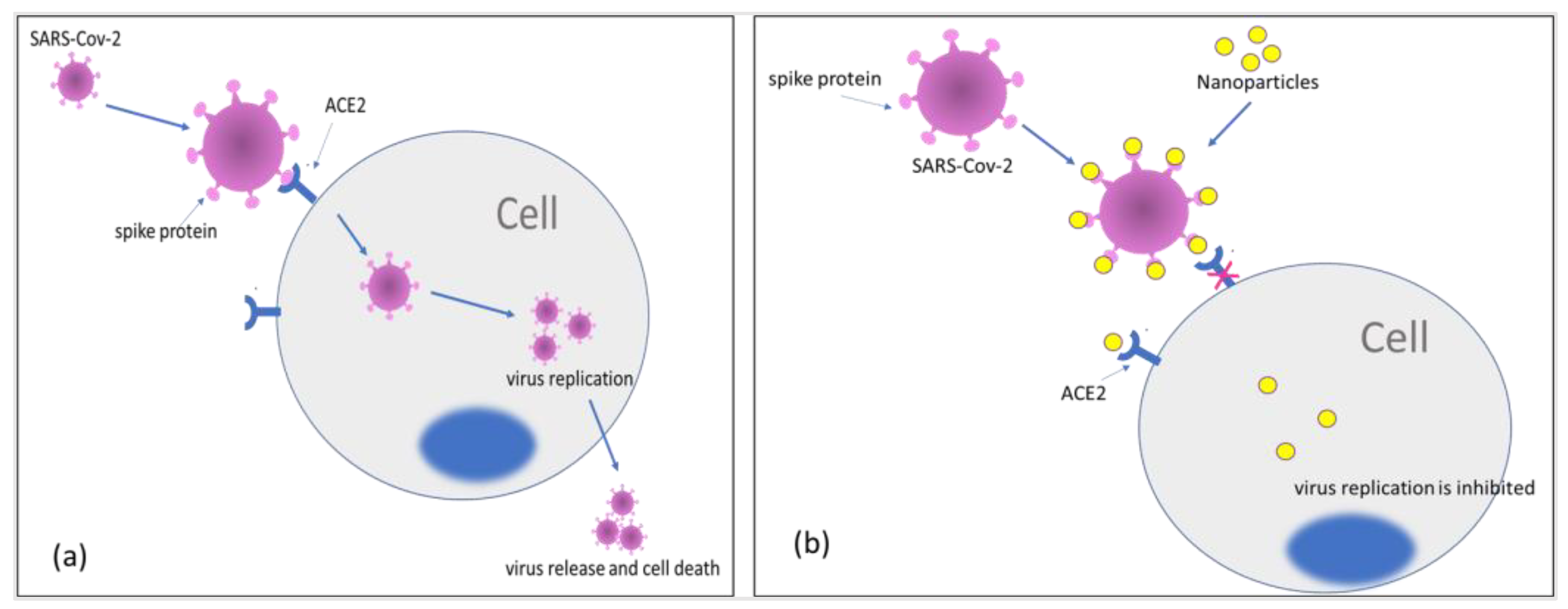 Preprints 76063 g005