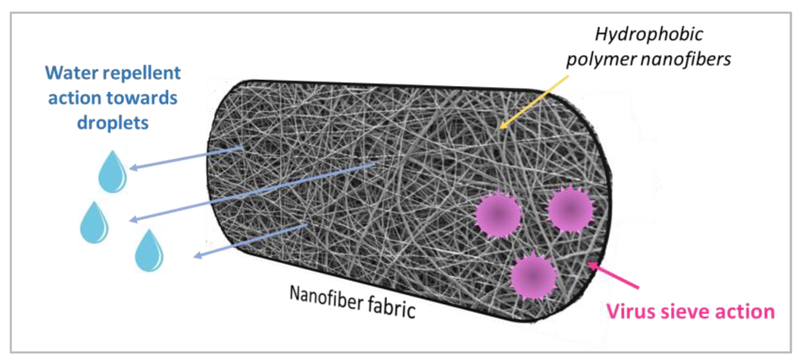 Preprints 76063 g008