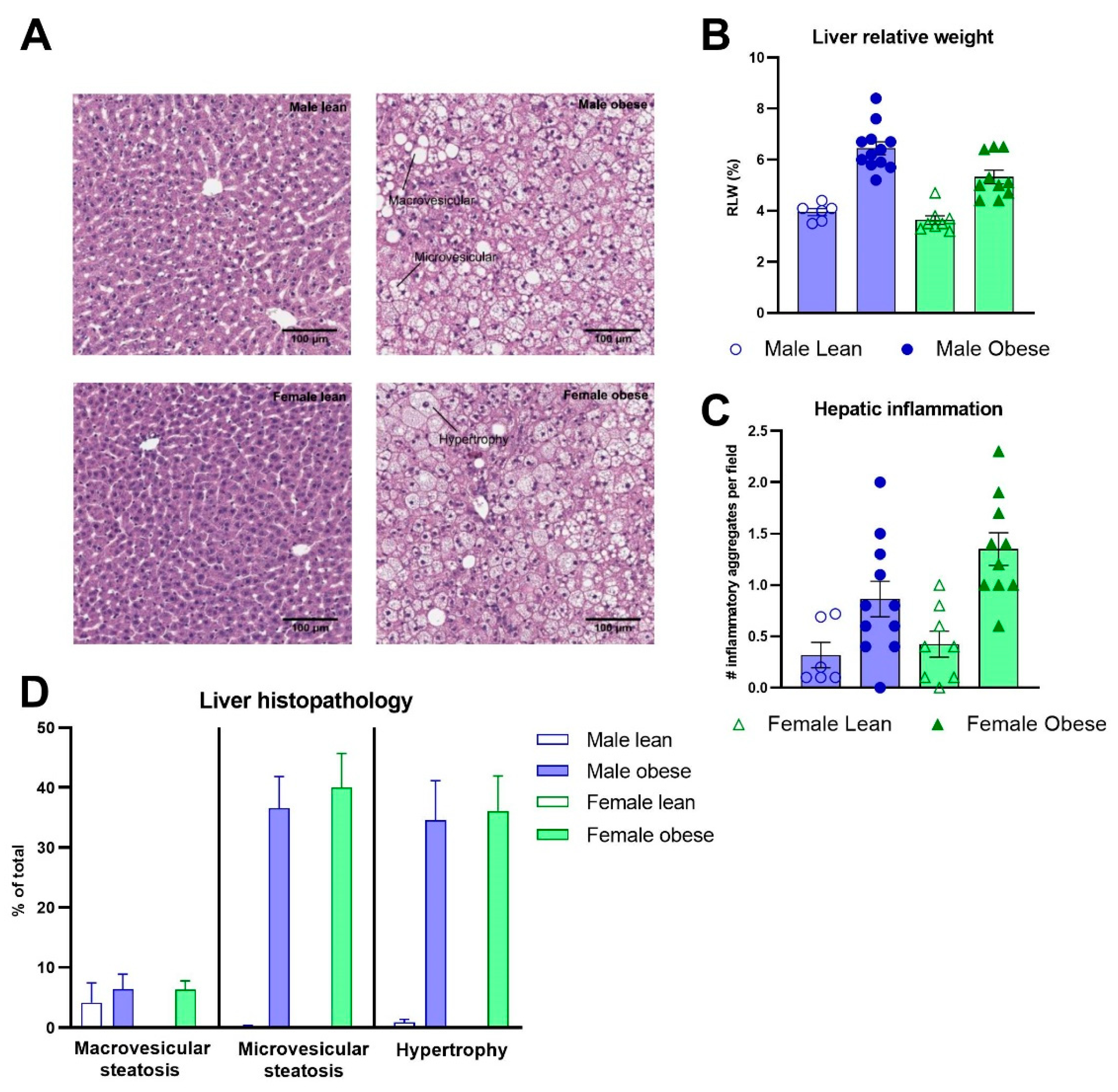 Preprints 83467 g006