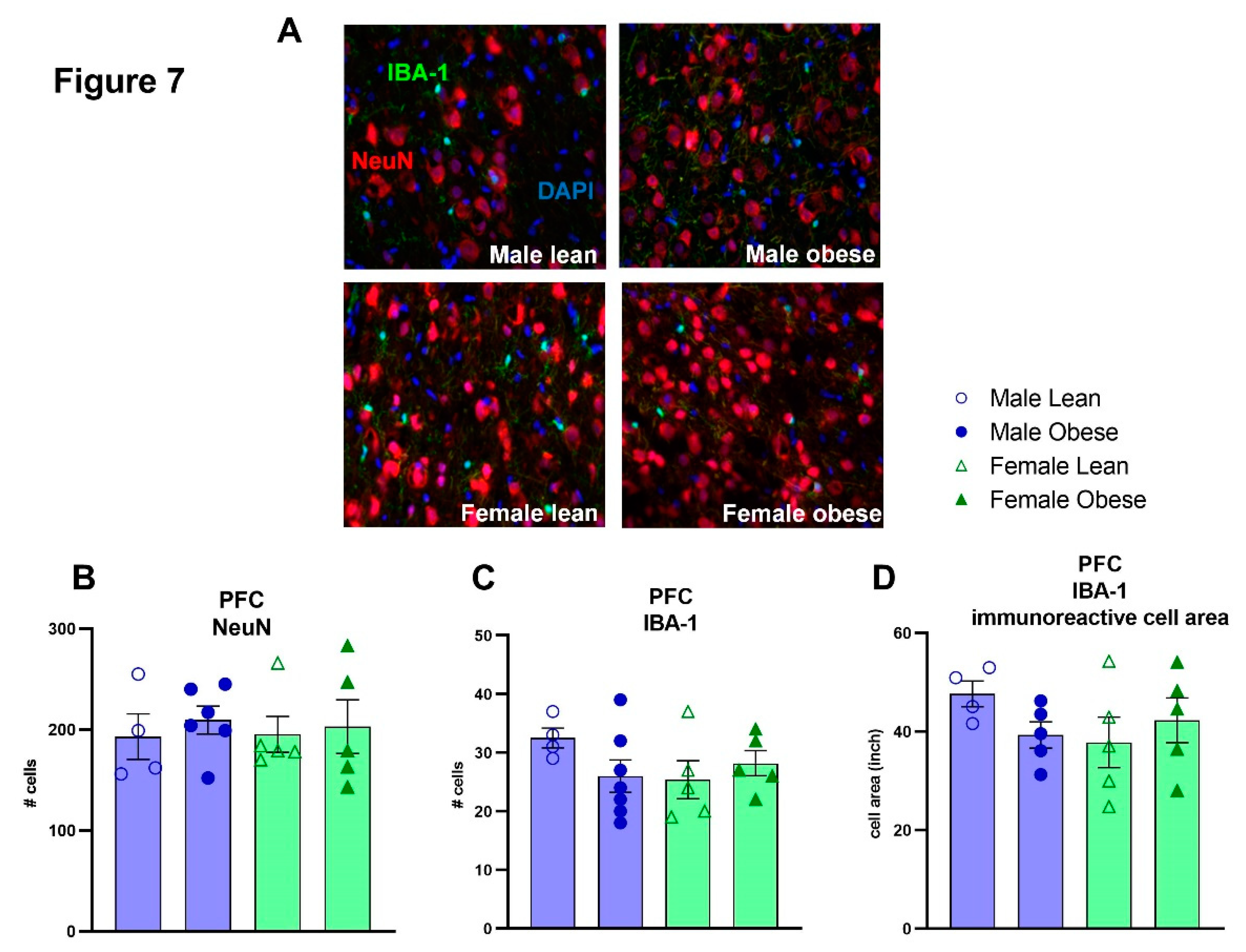 Preprints 83467 g007