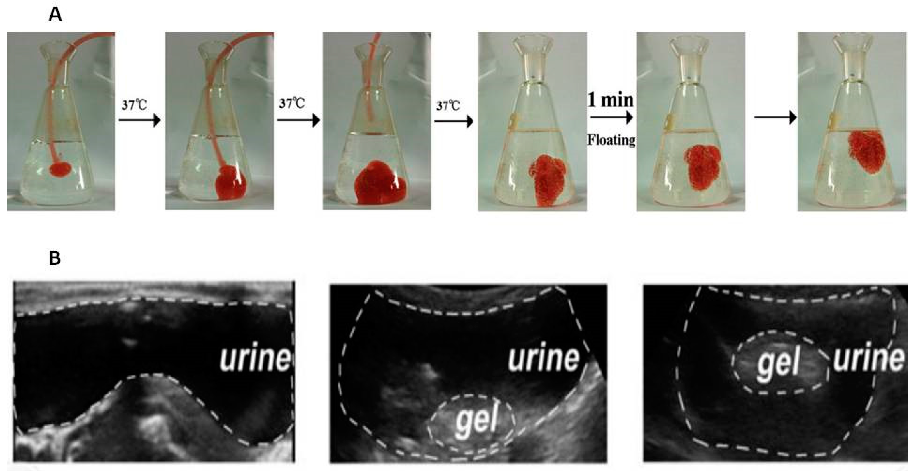 Preprints 89529 g003