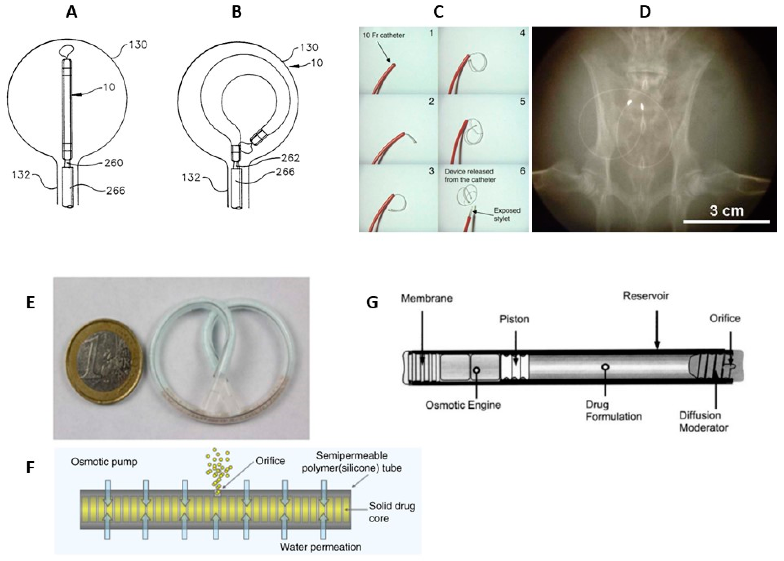 Preprints 89529 g005