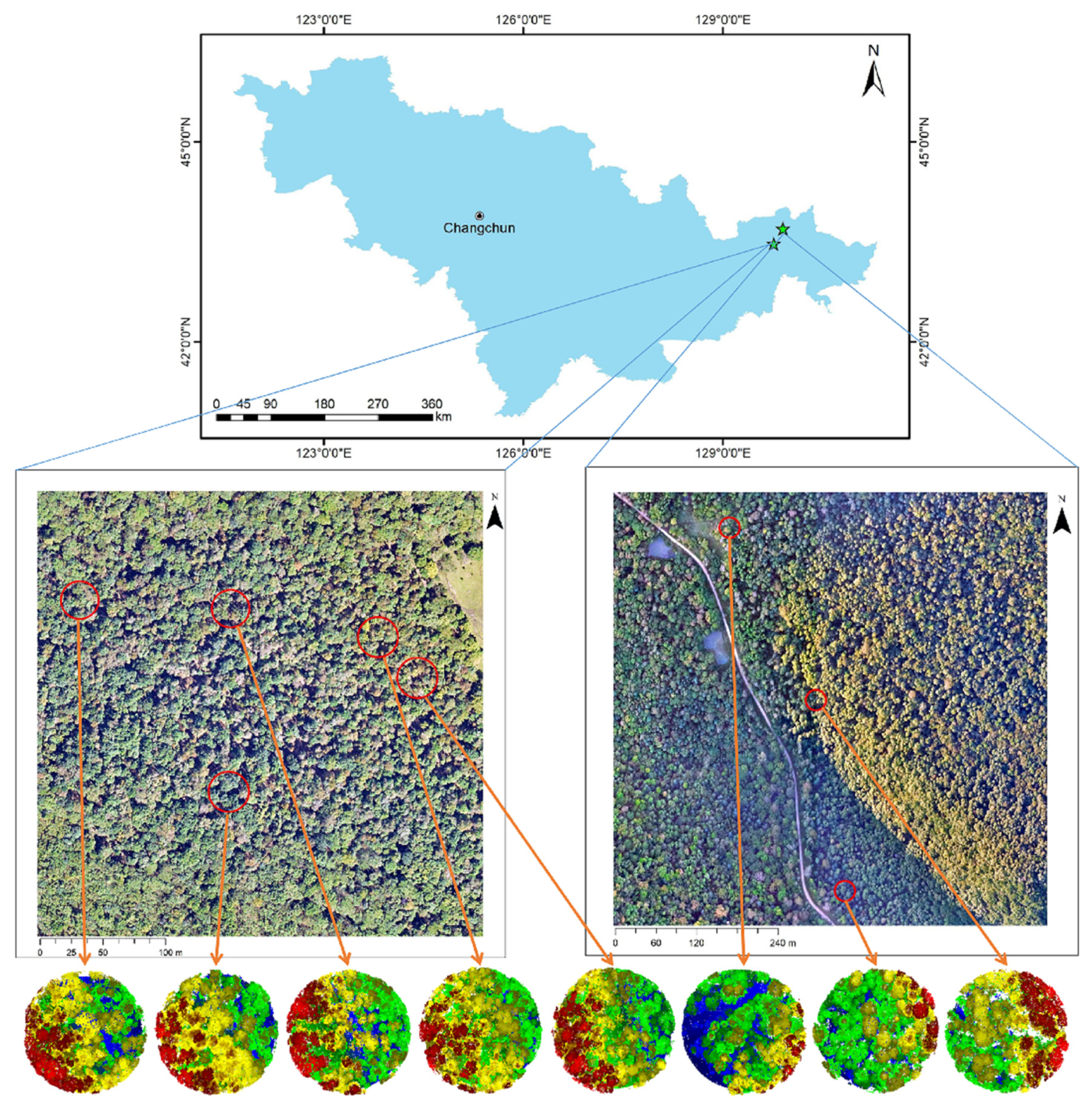 Preprints 72026 g001