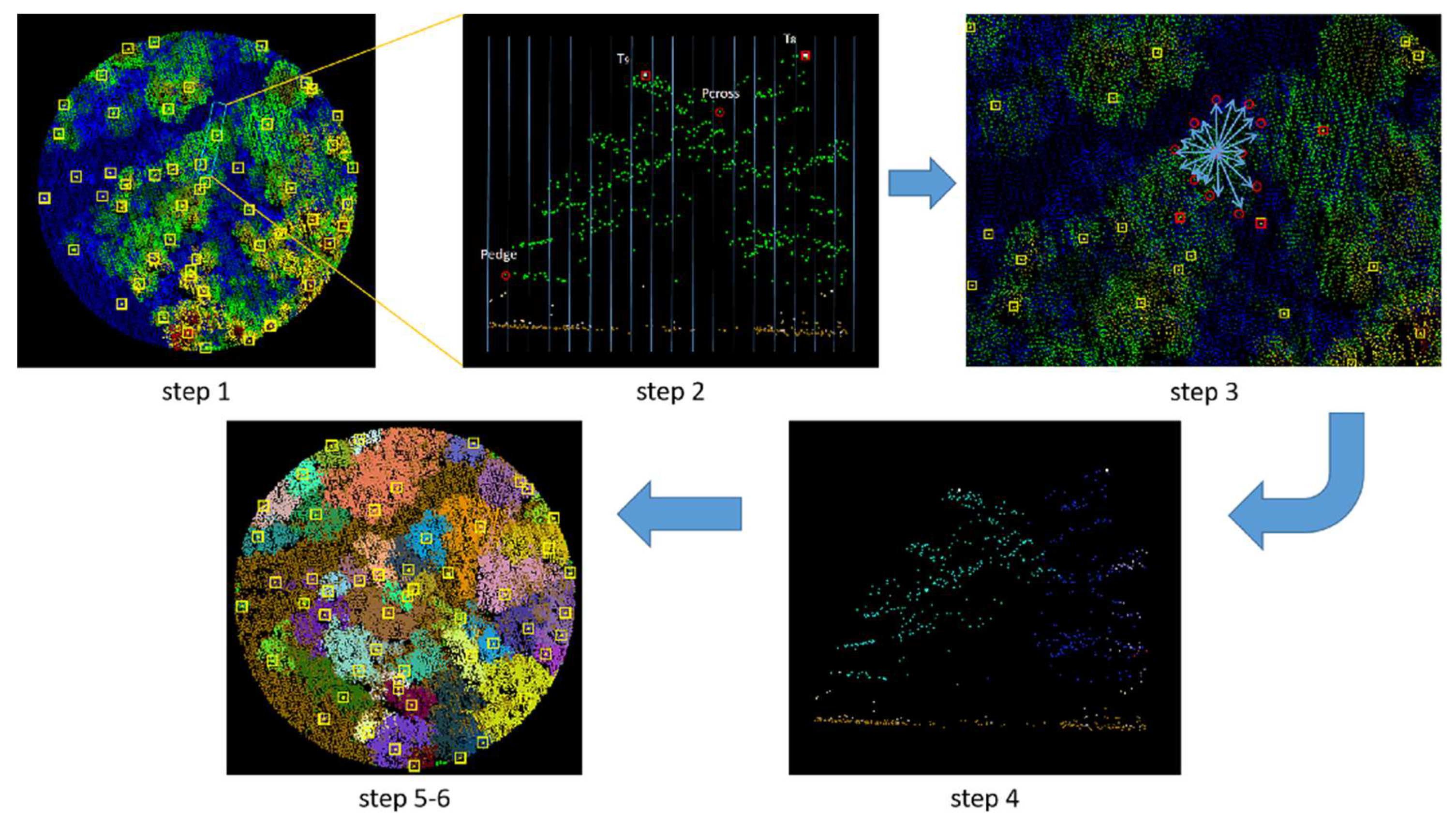 Preprints 72026 g007