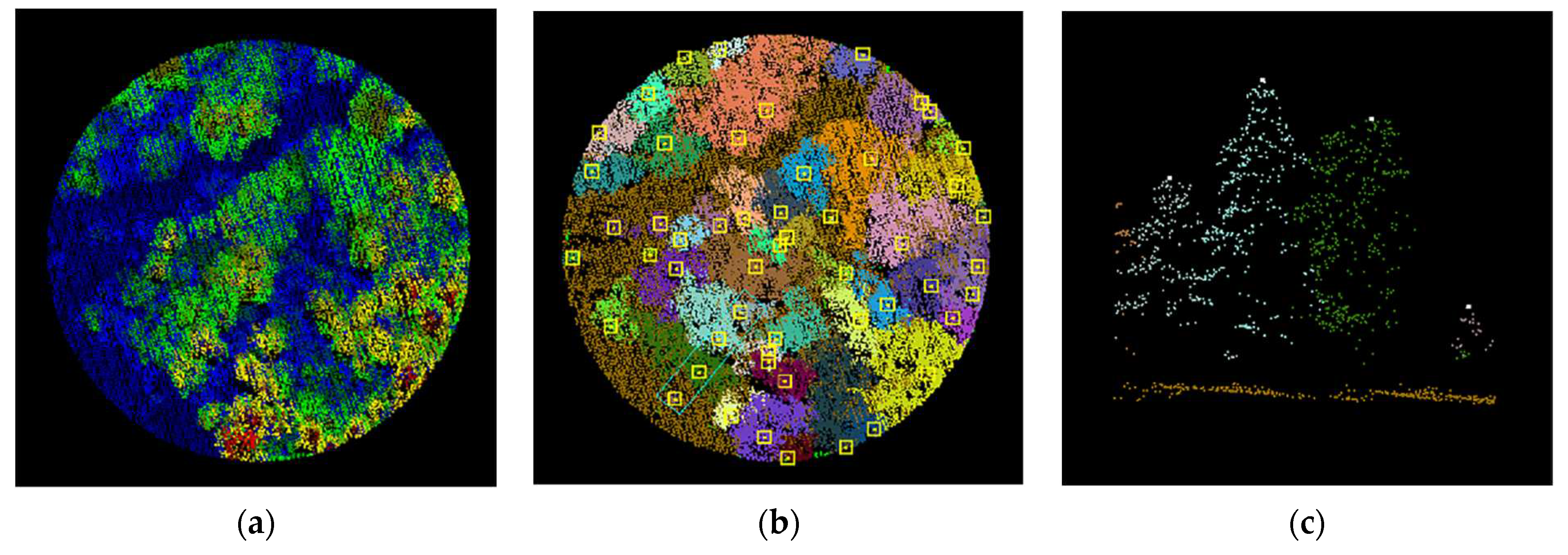 Preprints 72026 g008