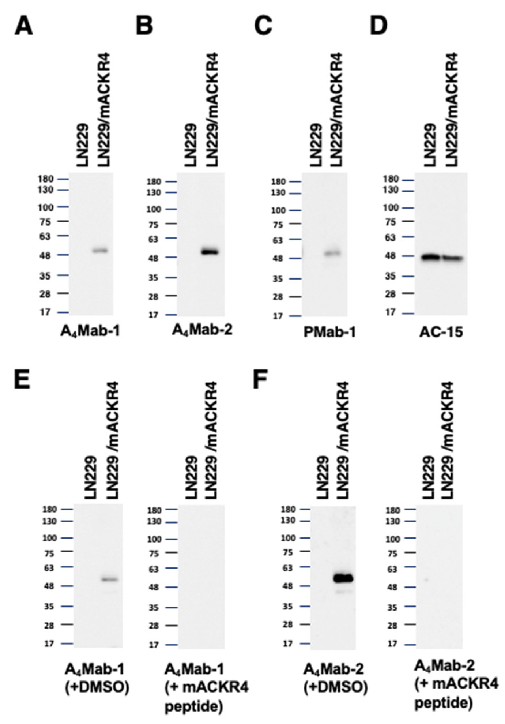 Preprints 112609 g005