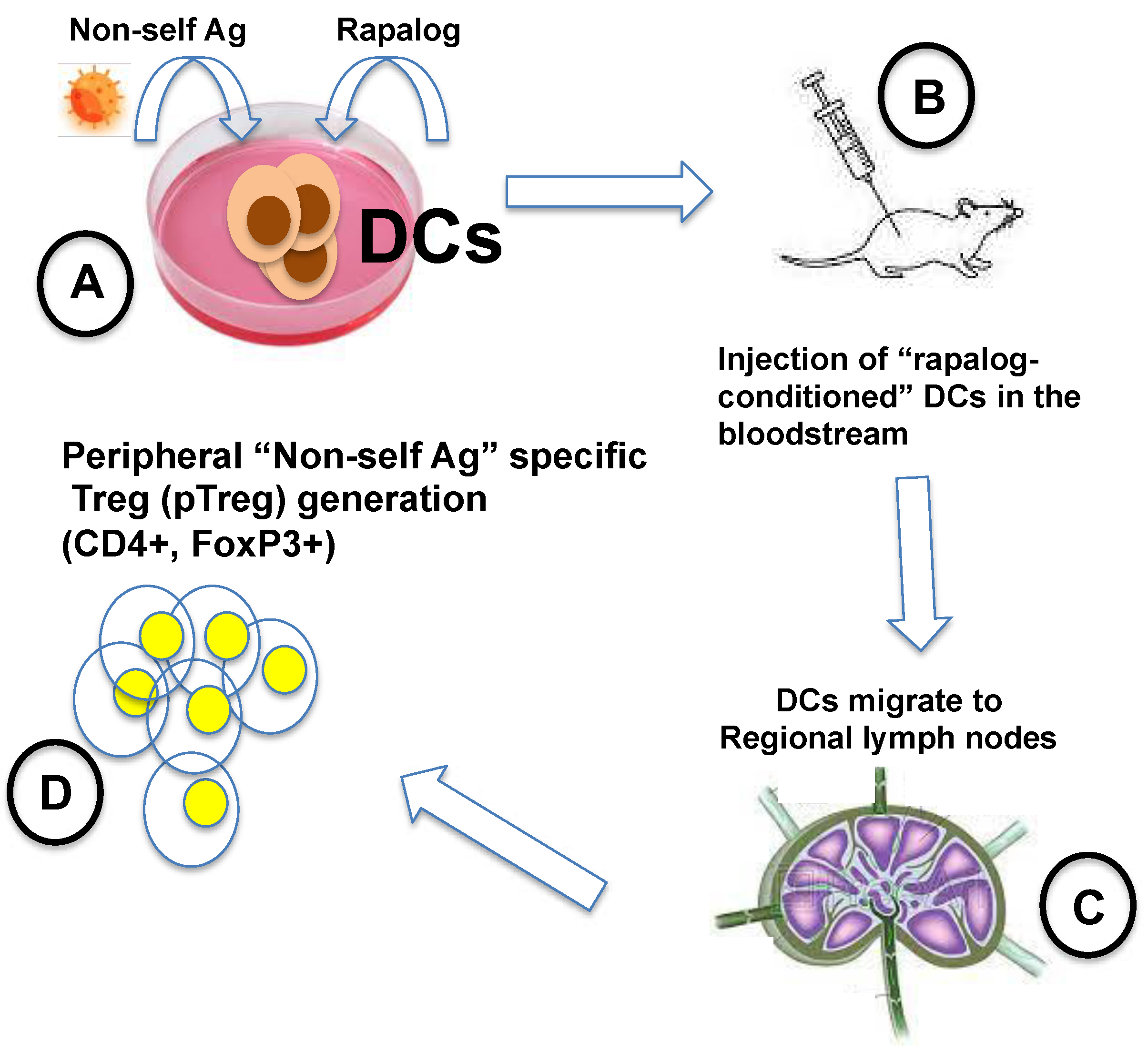 Preprints 83167 g001