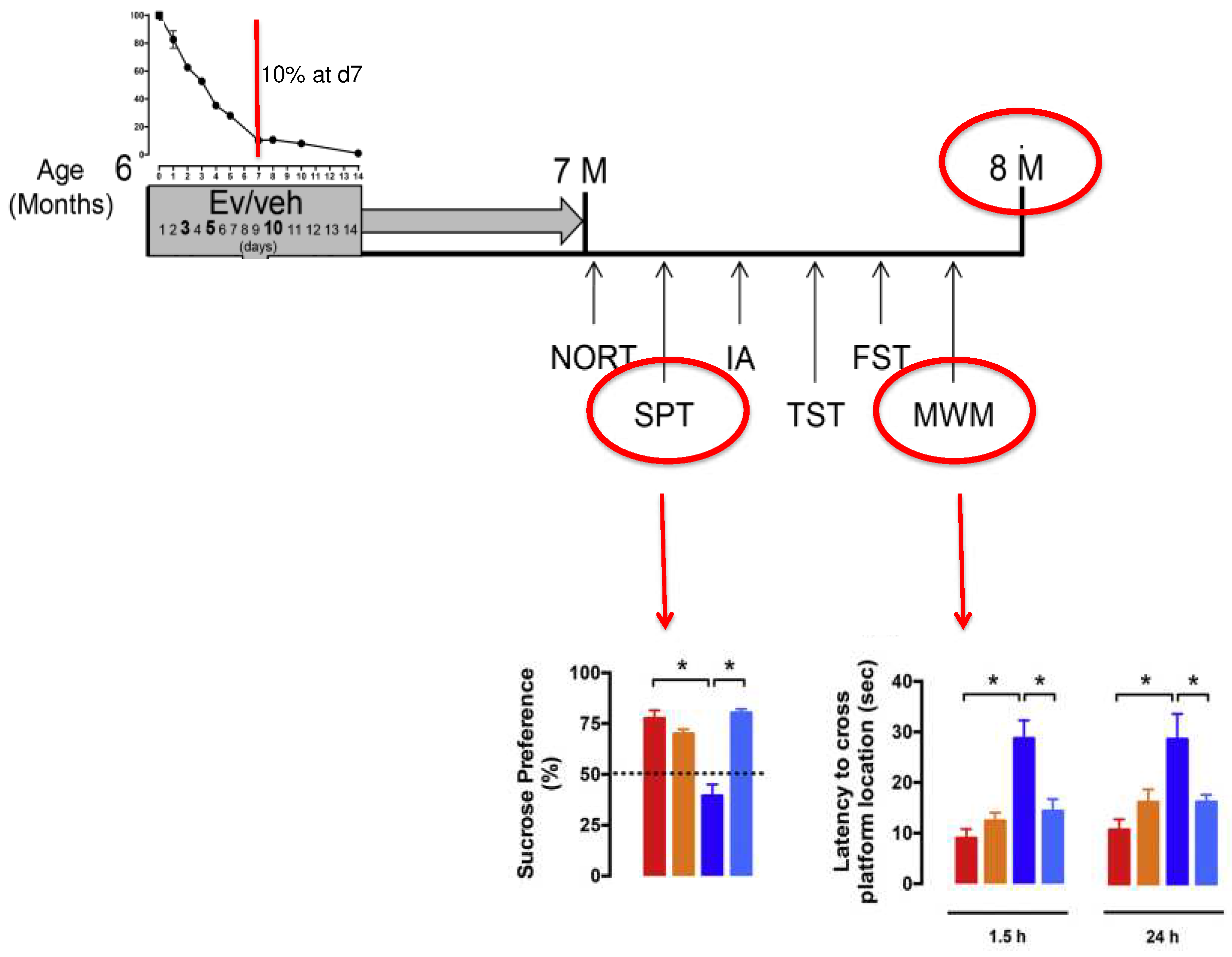 Preprints 83167 g002