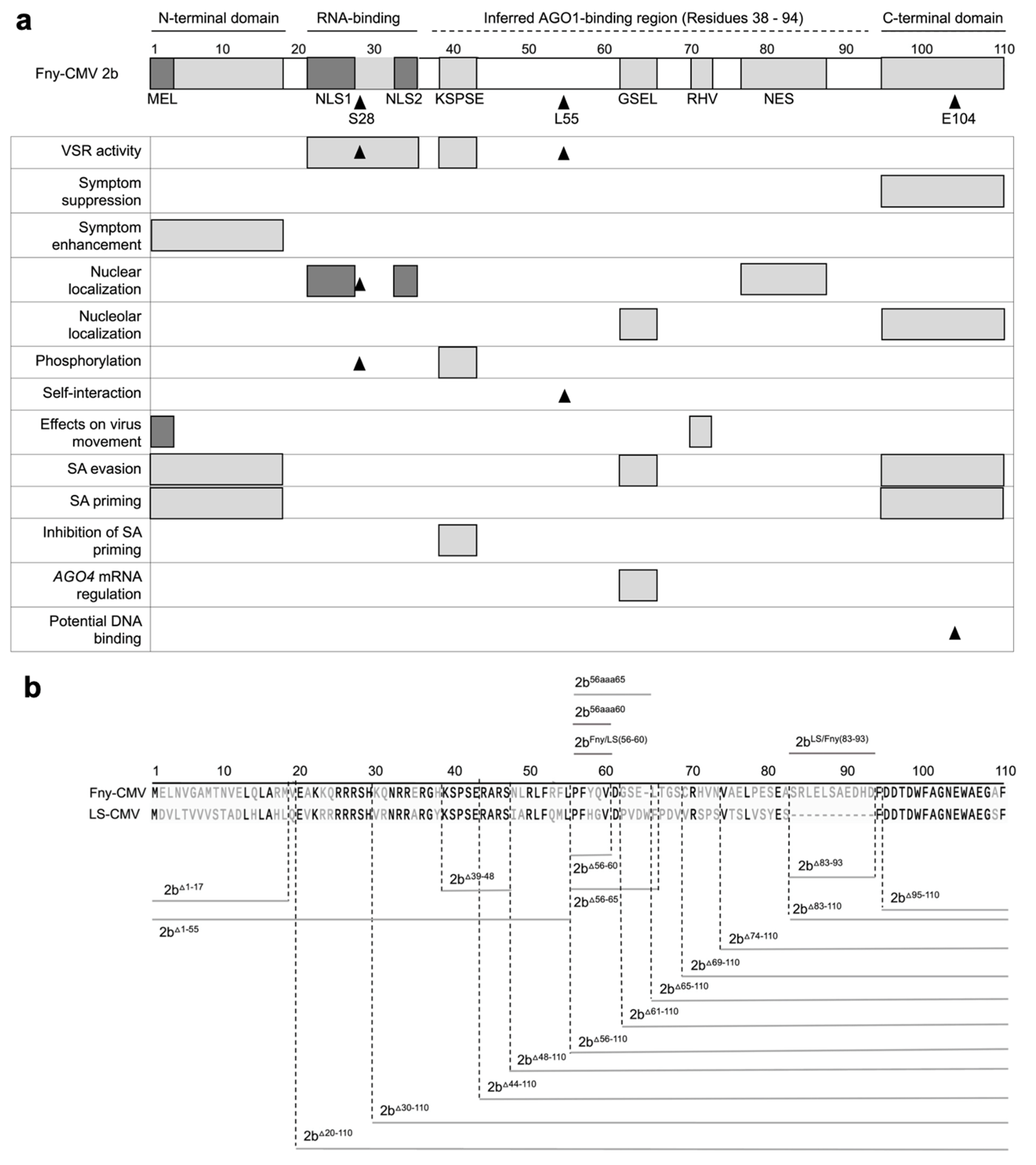 Preprints 101614 g001