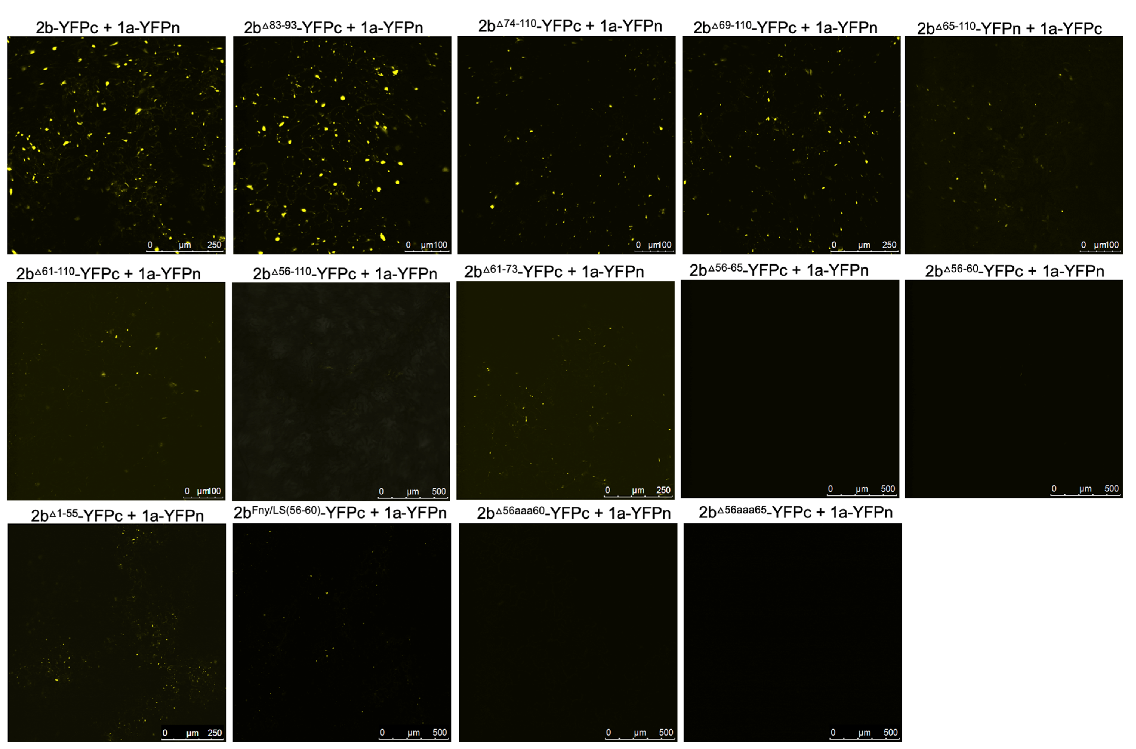 Preprints 101614 g003