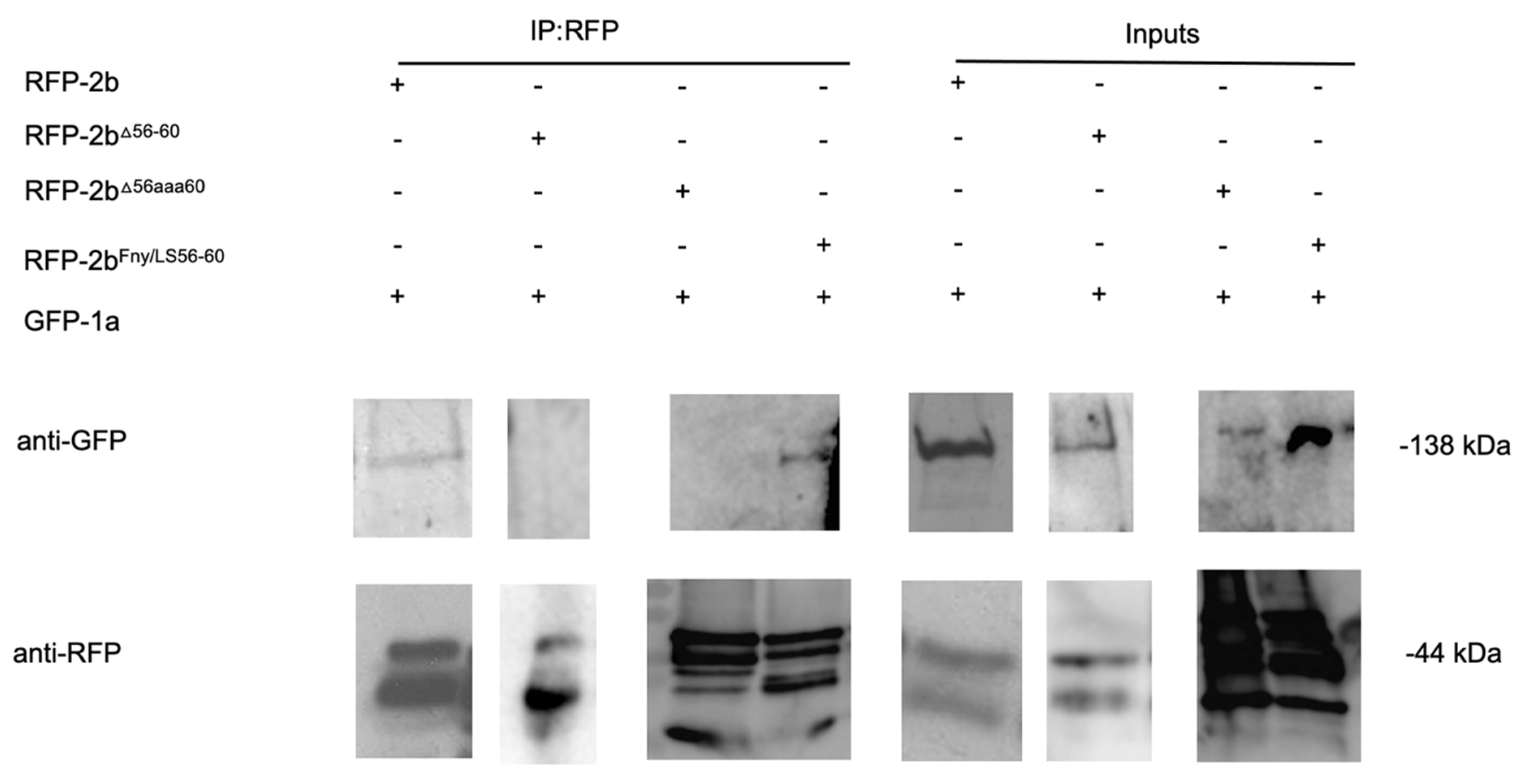 Preprints 101614 g004