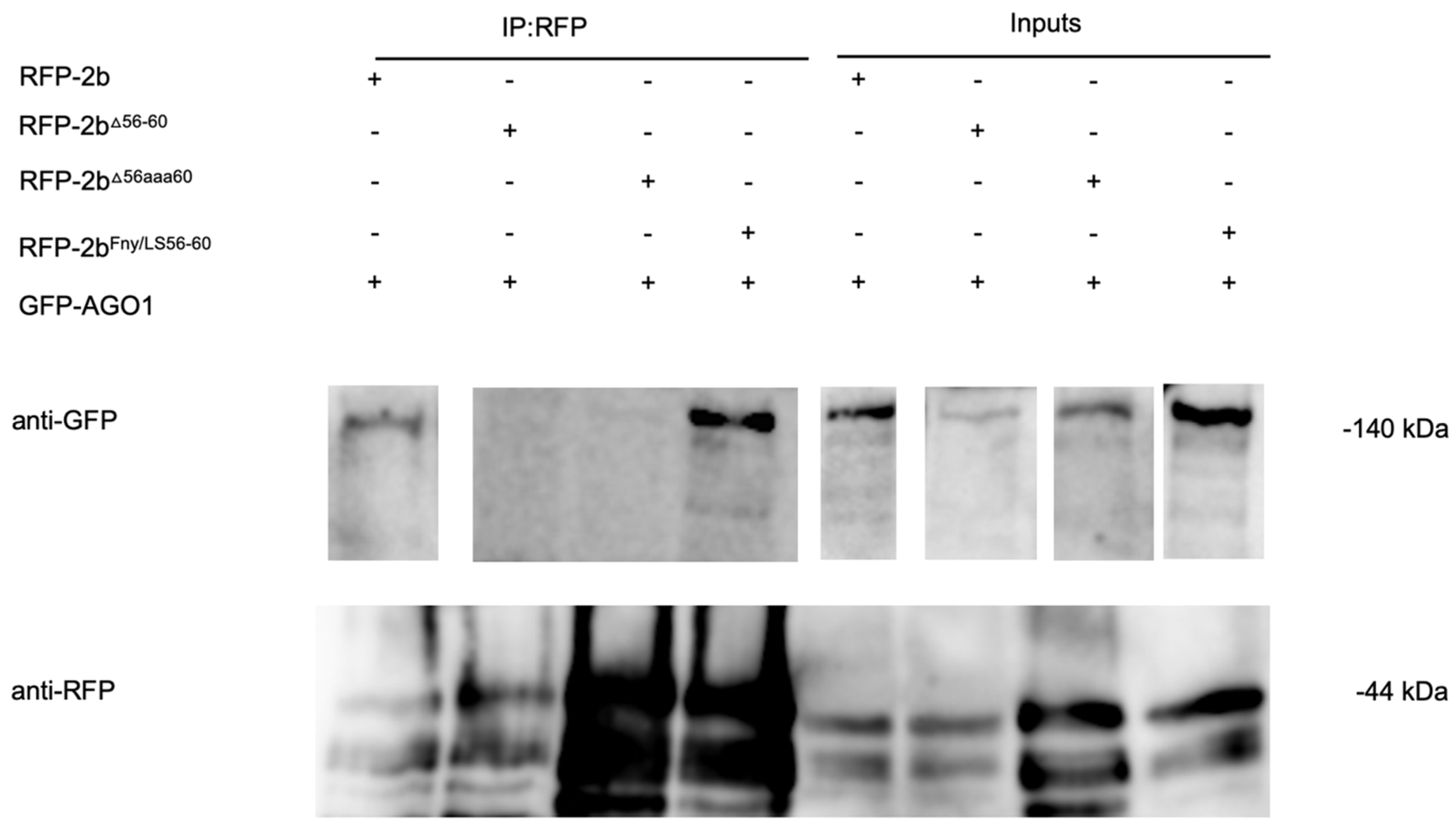 Preprints 101614 g007