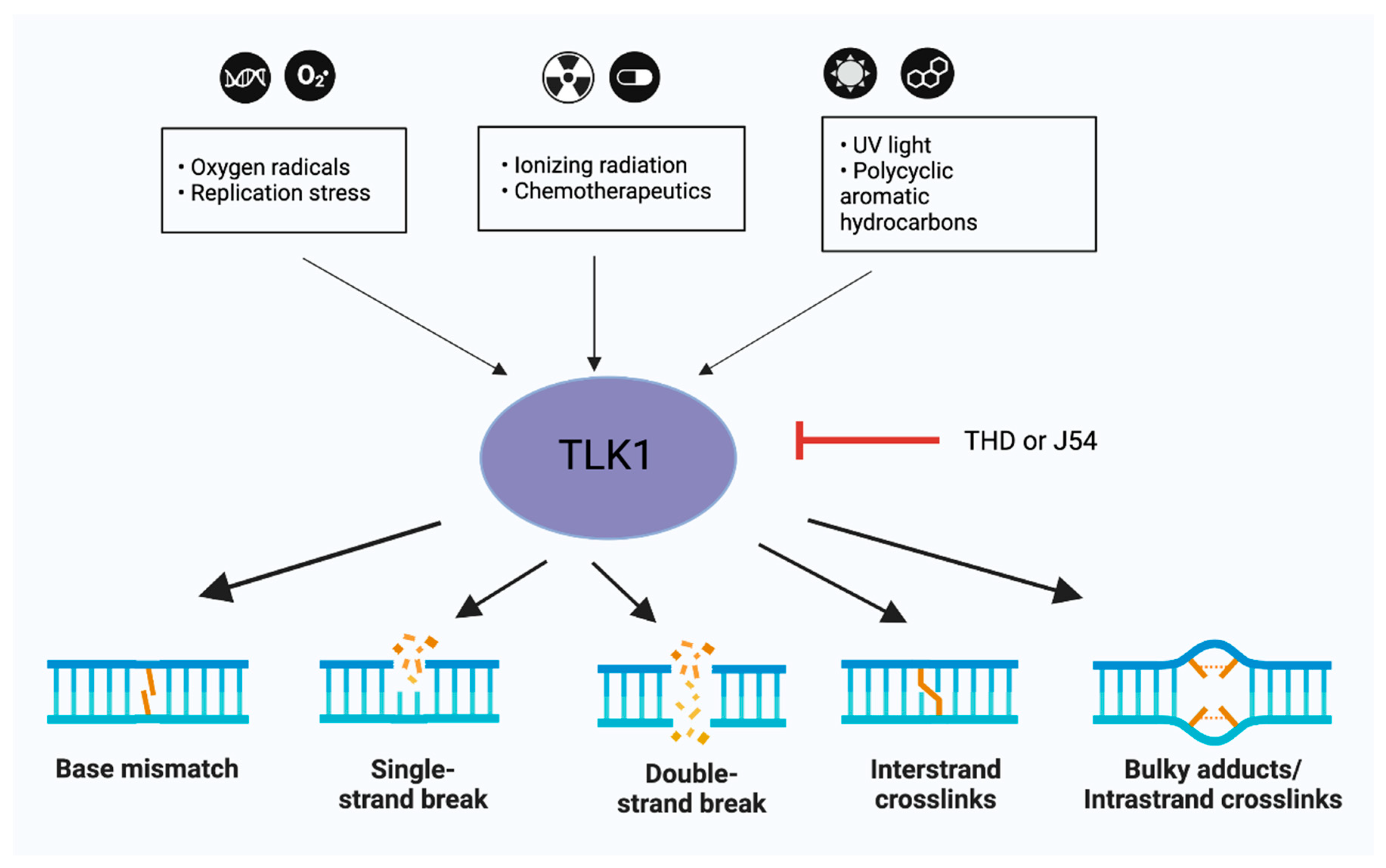 Preprints 81737 g002