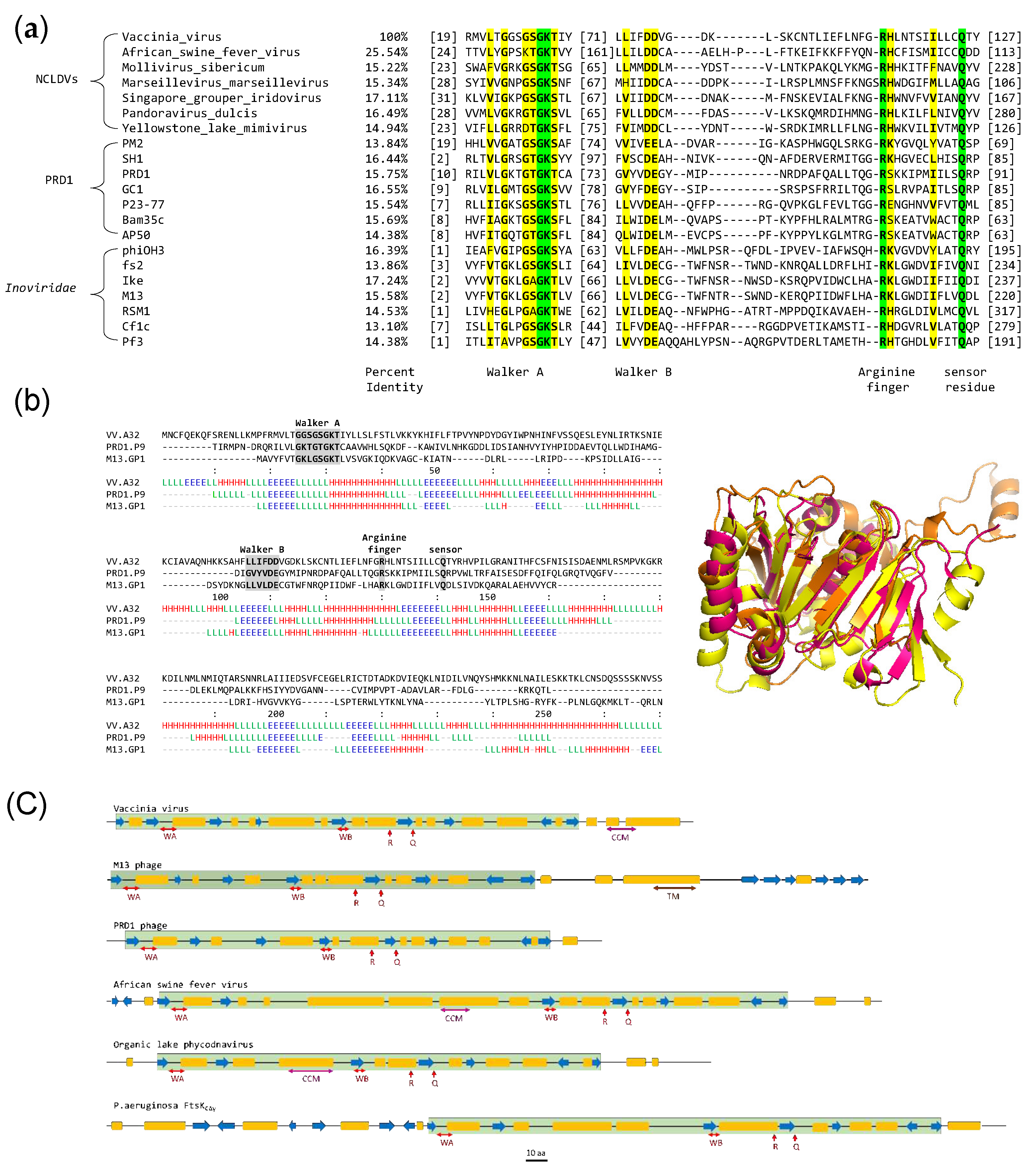 Preprints 98058 g001