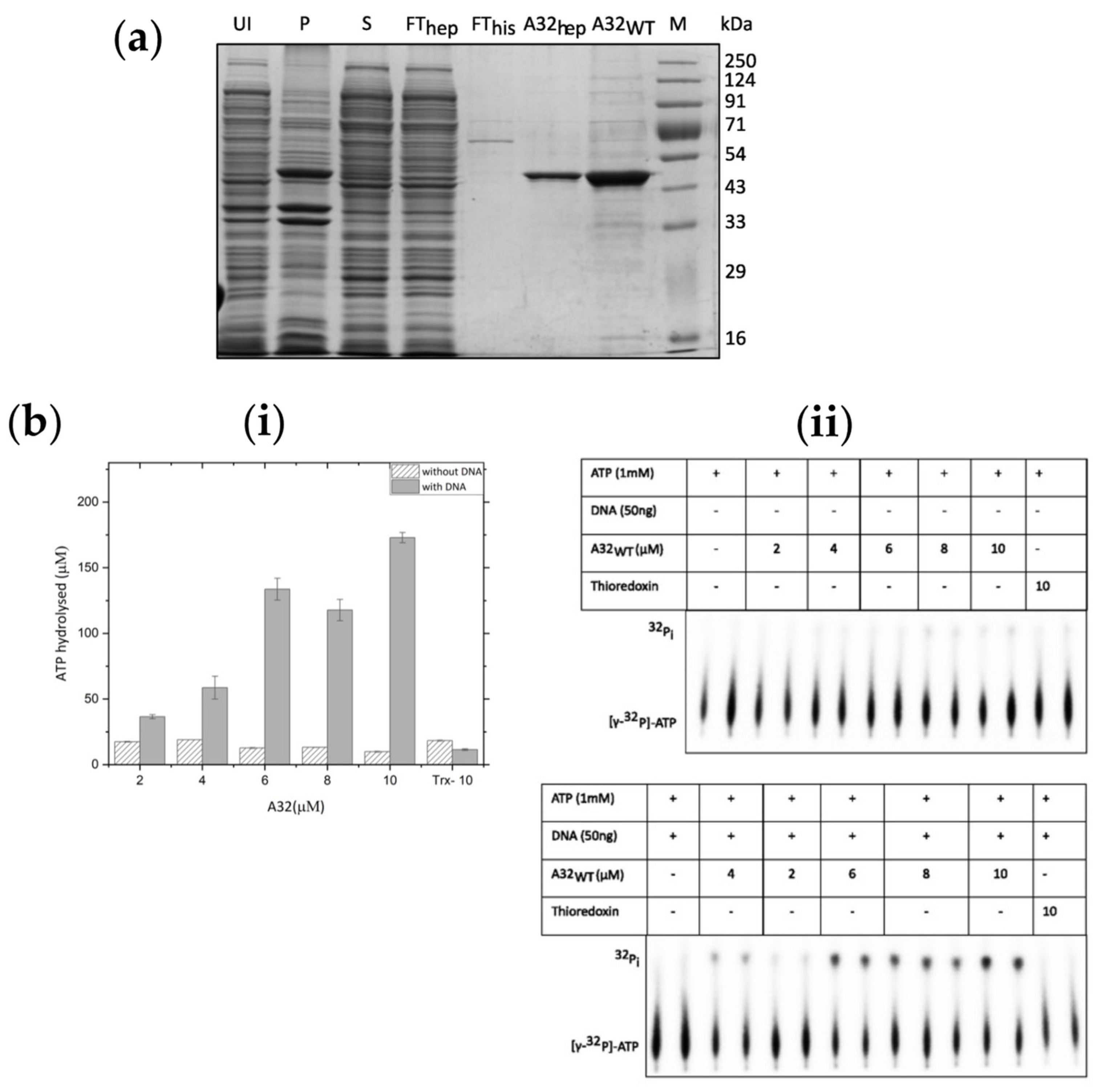 Preprints 98058 g002