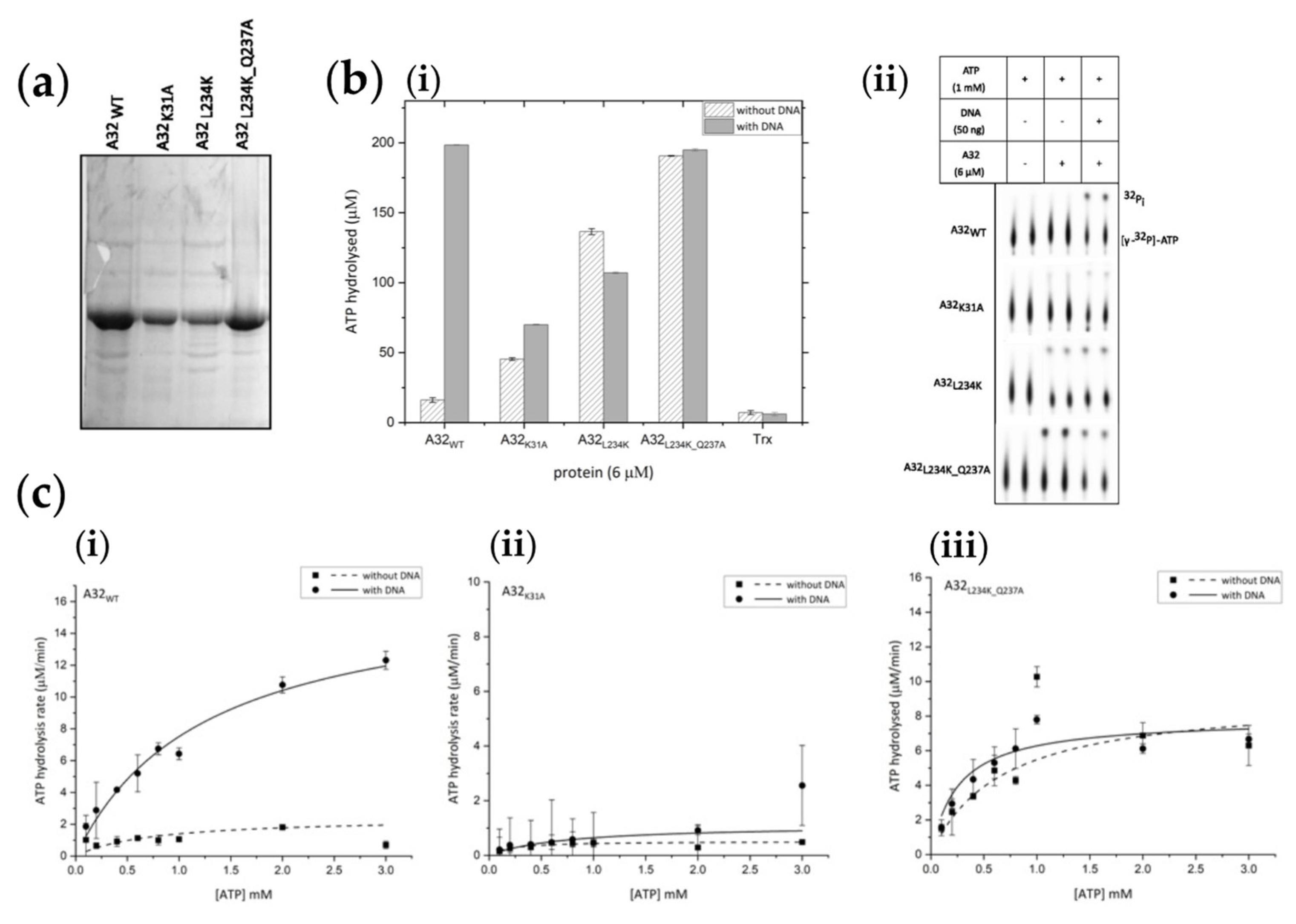 Preprints 98058 g005