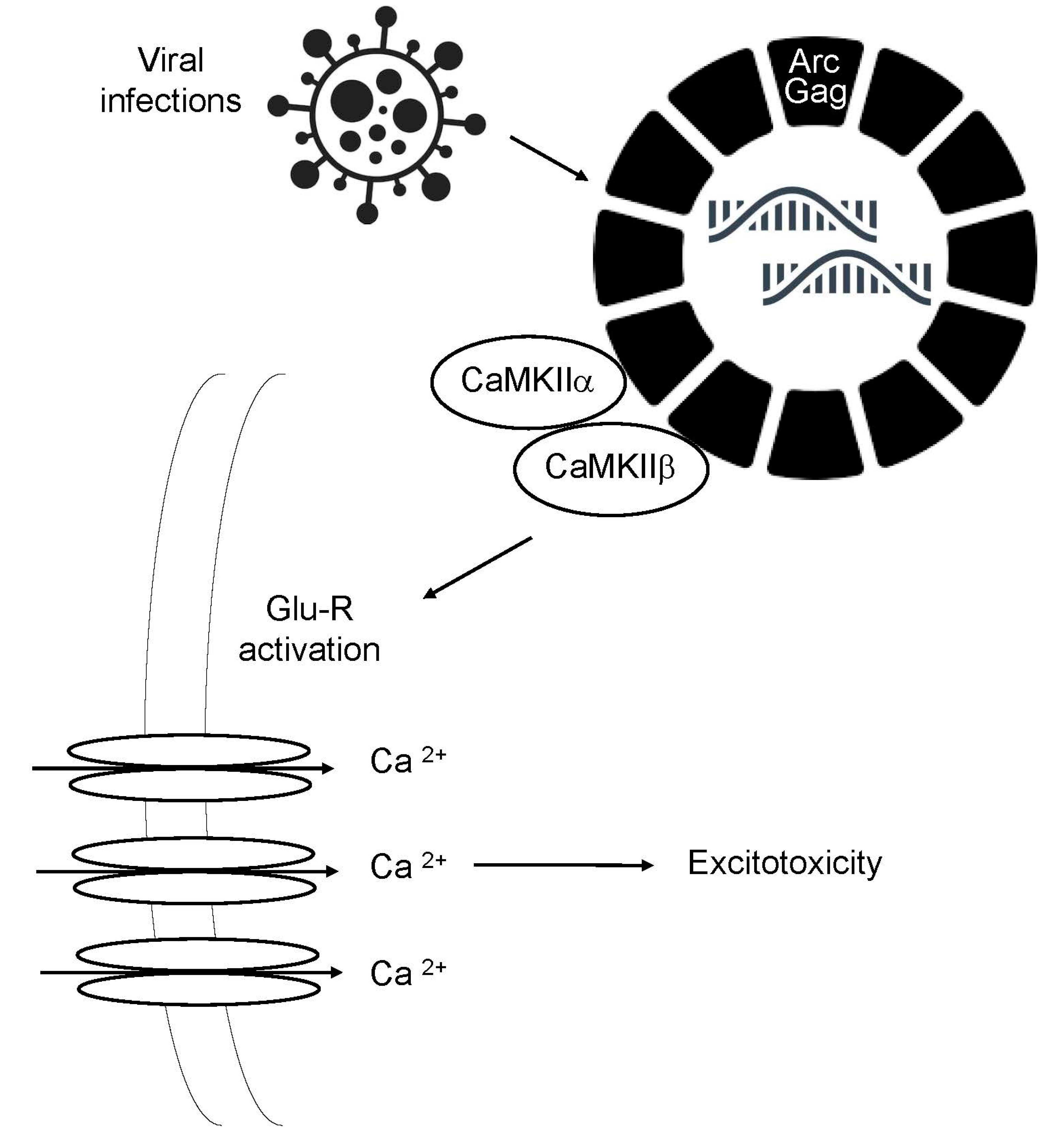 Preprints 75444 g001