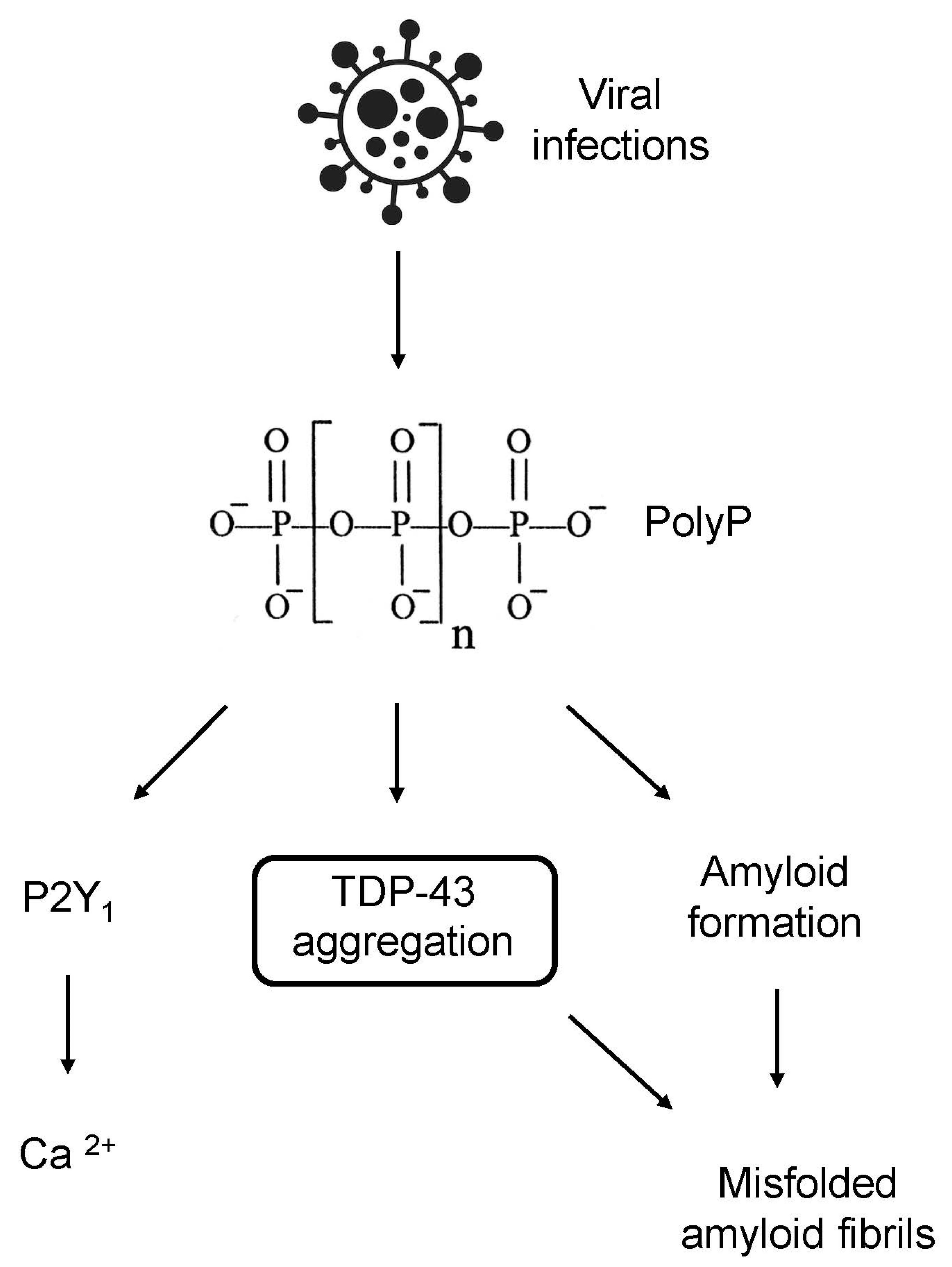 Preprints 75444 g002