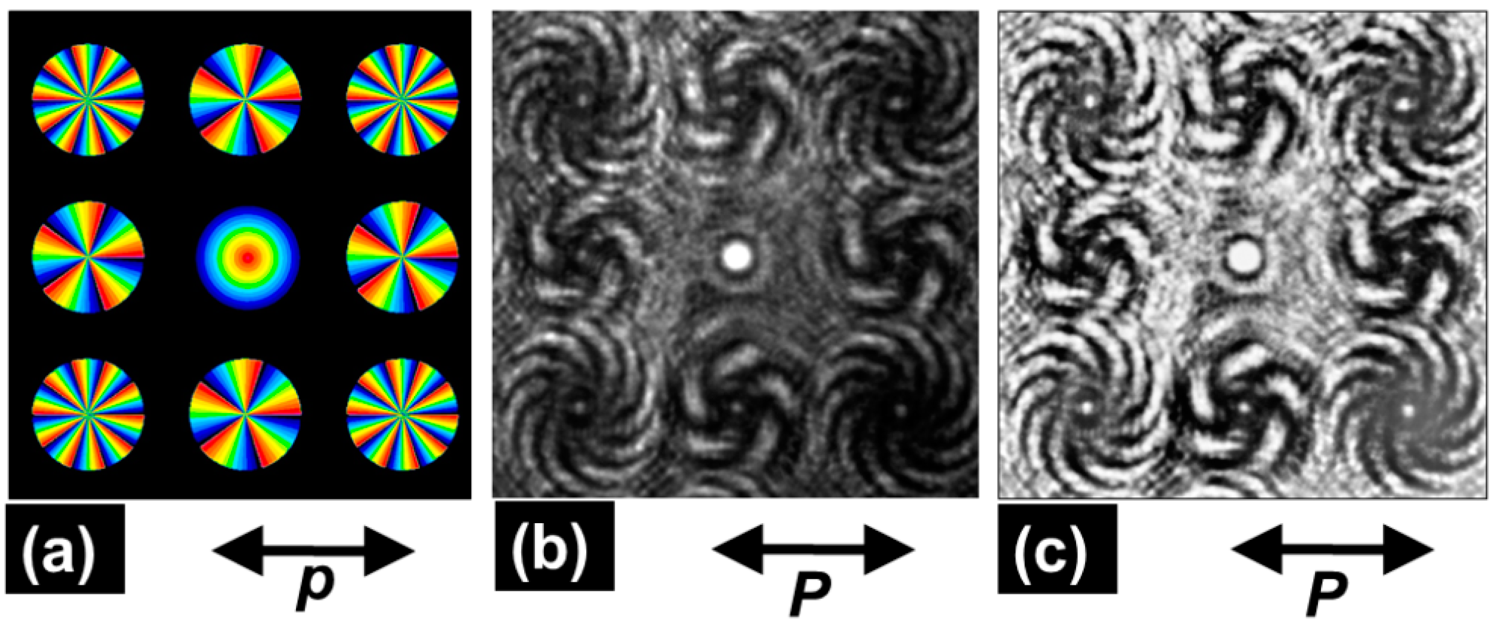 Preprints 99078 g009