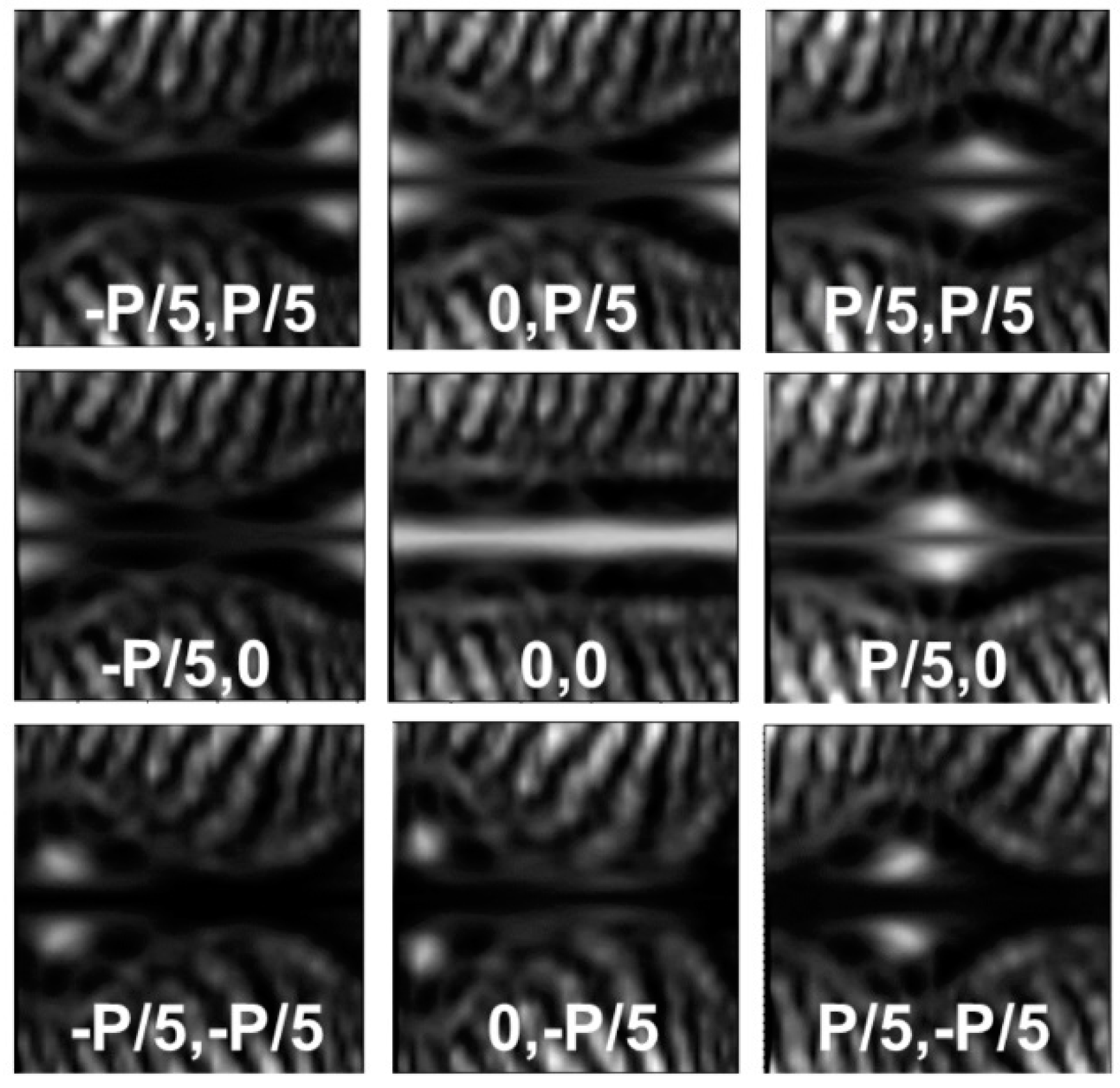 Preprints 99078 g010