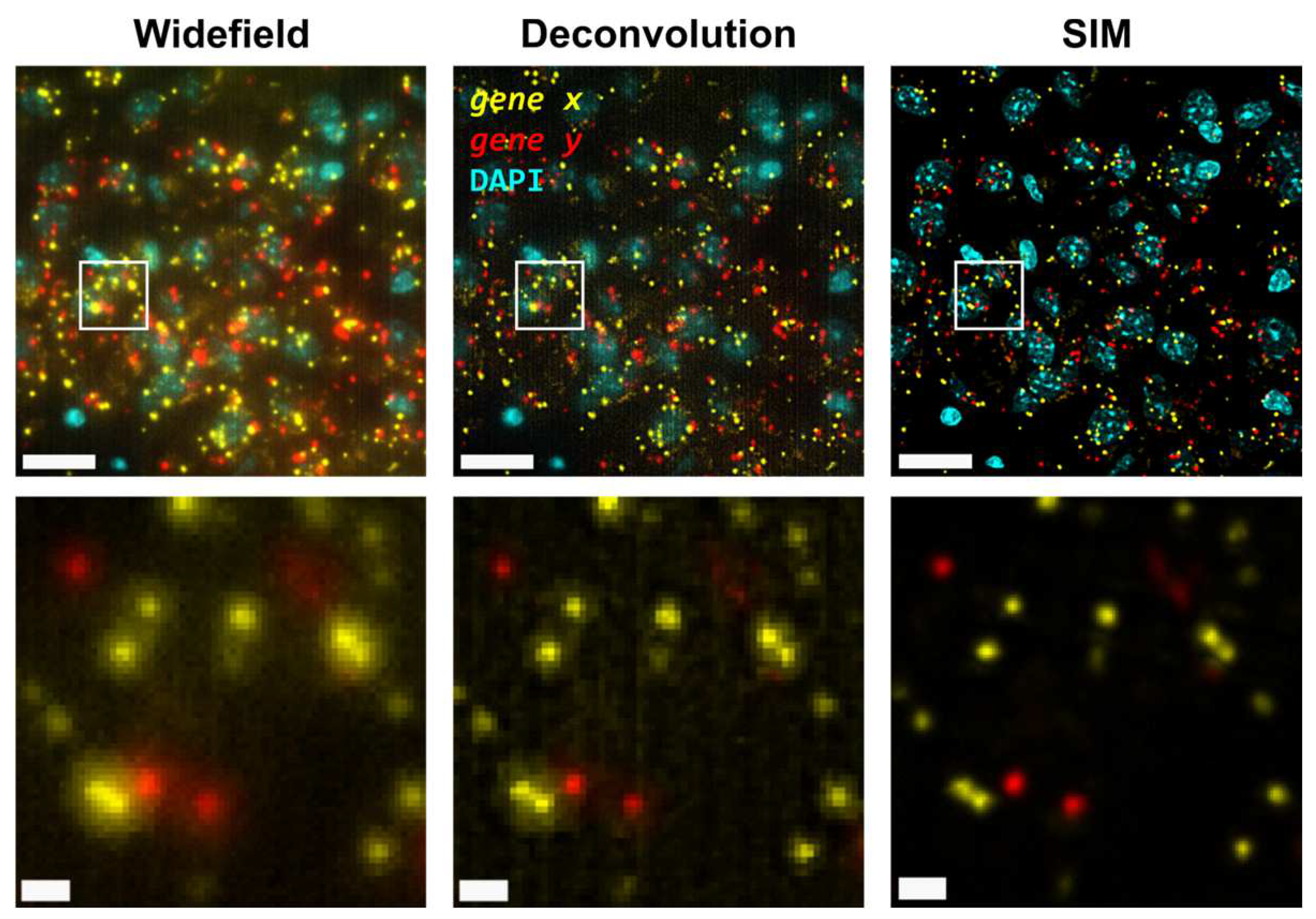 Preprints 69254 g001