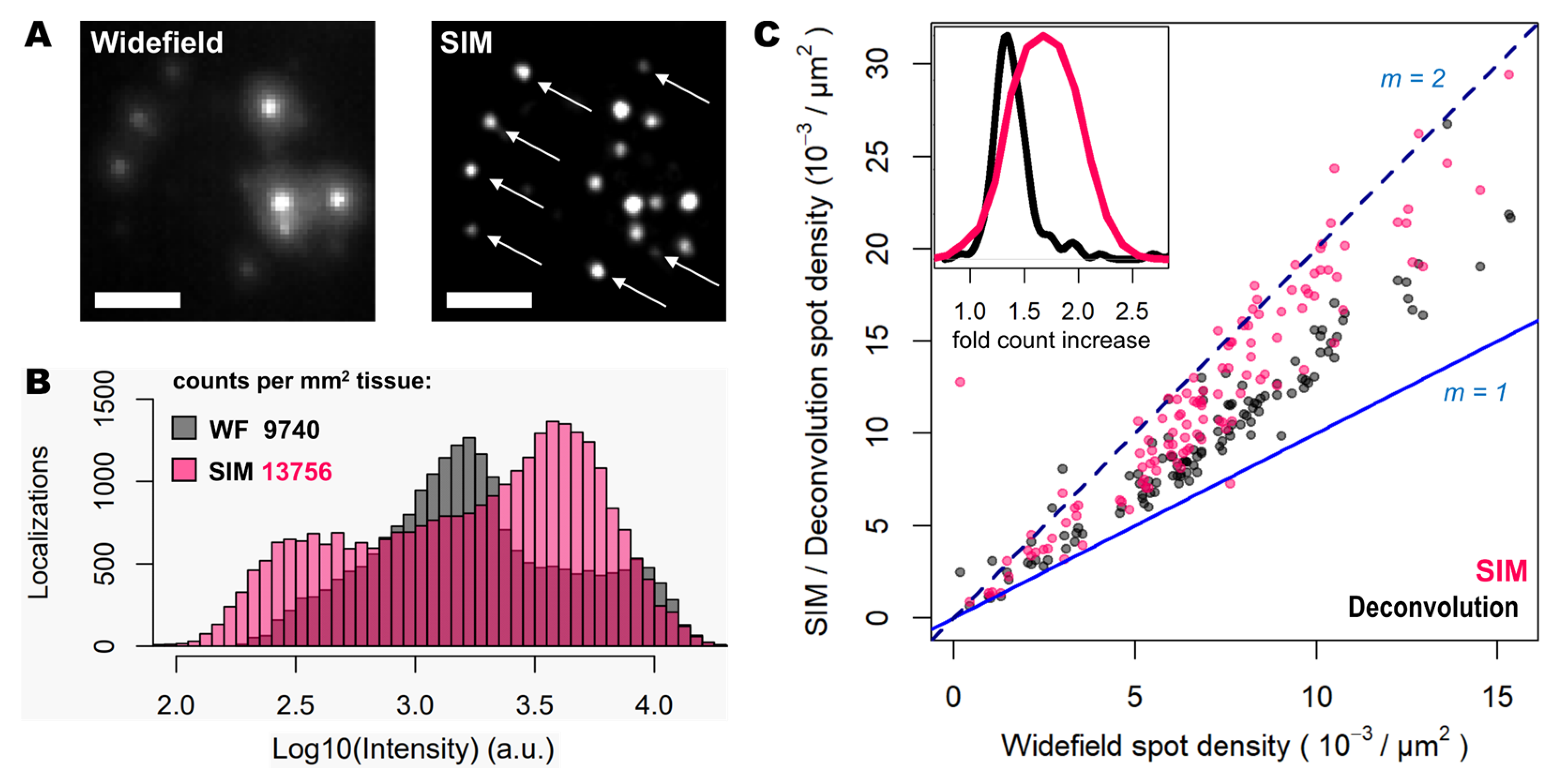 Preprints 69254 g002