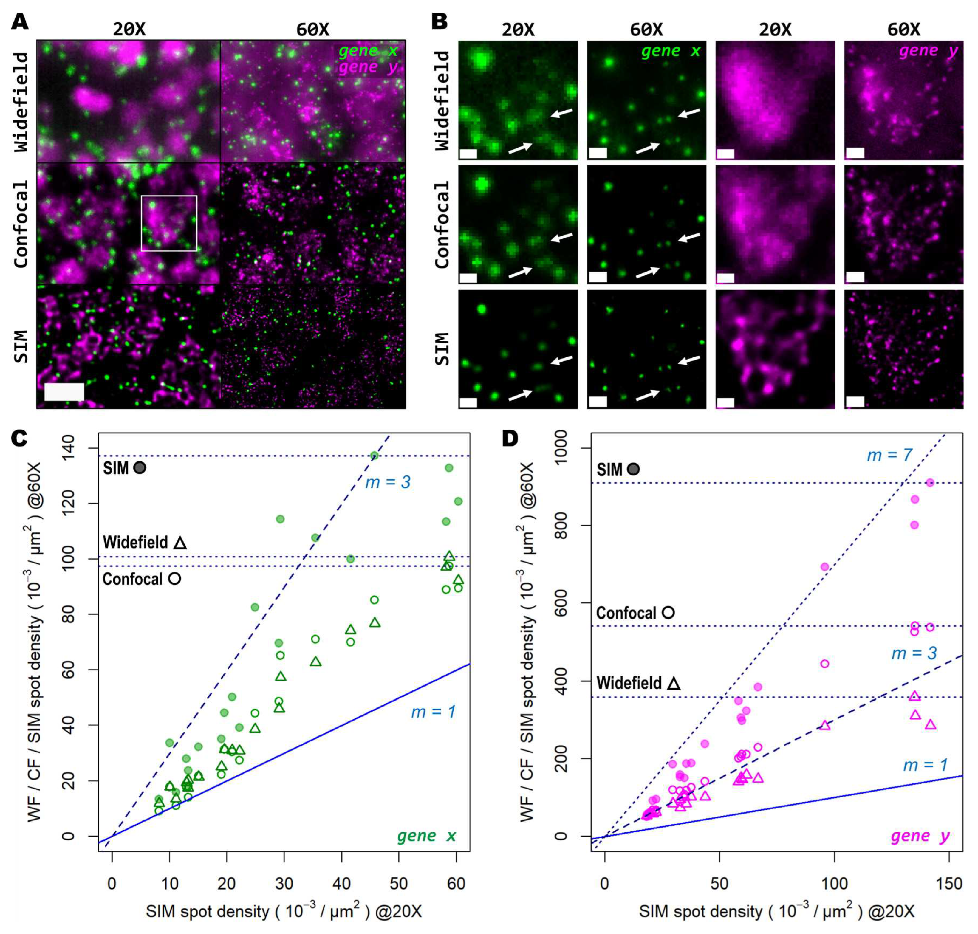 Preprints 69254 g005