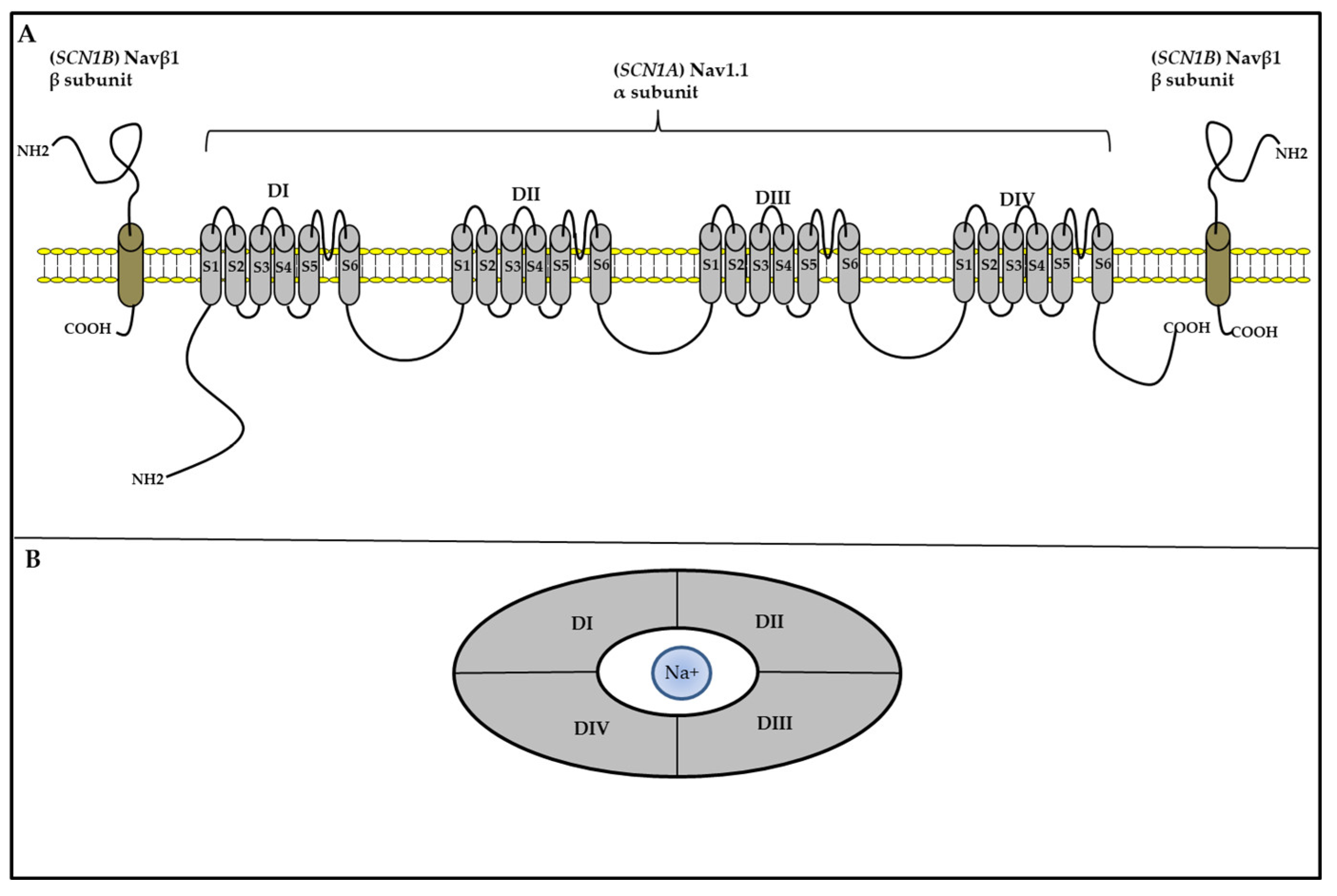 Preprints 91416 g002