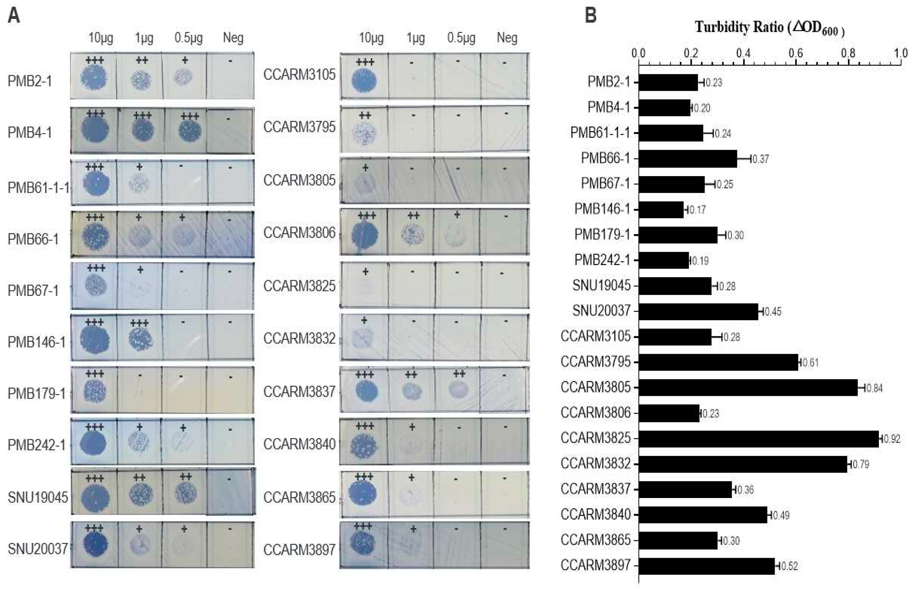 Preprints 97525 g003