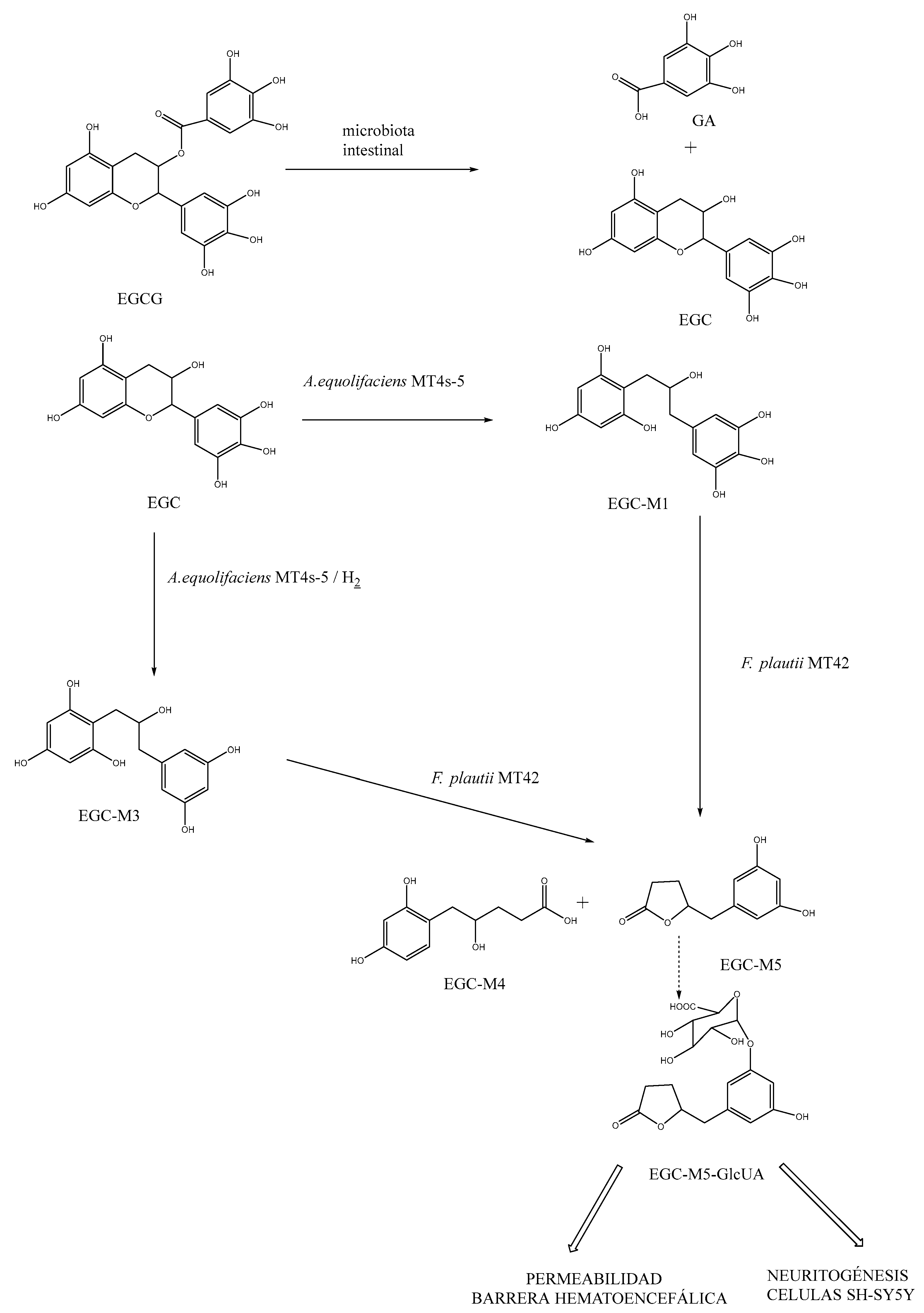 Preprints 79952 g002