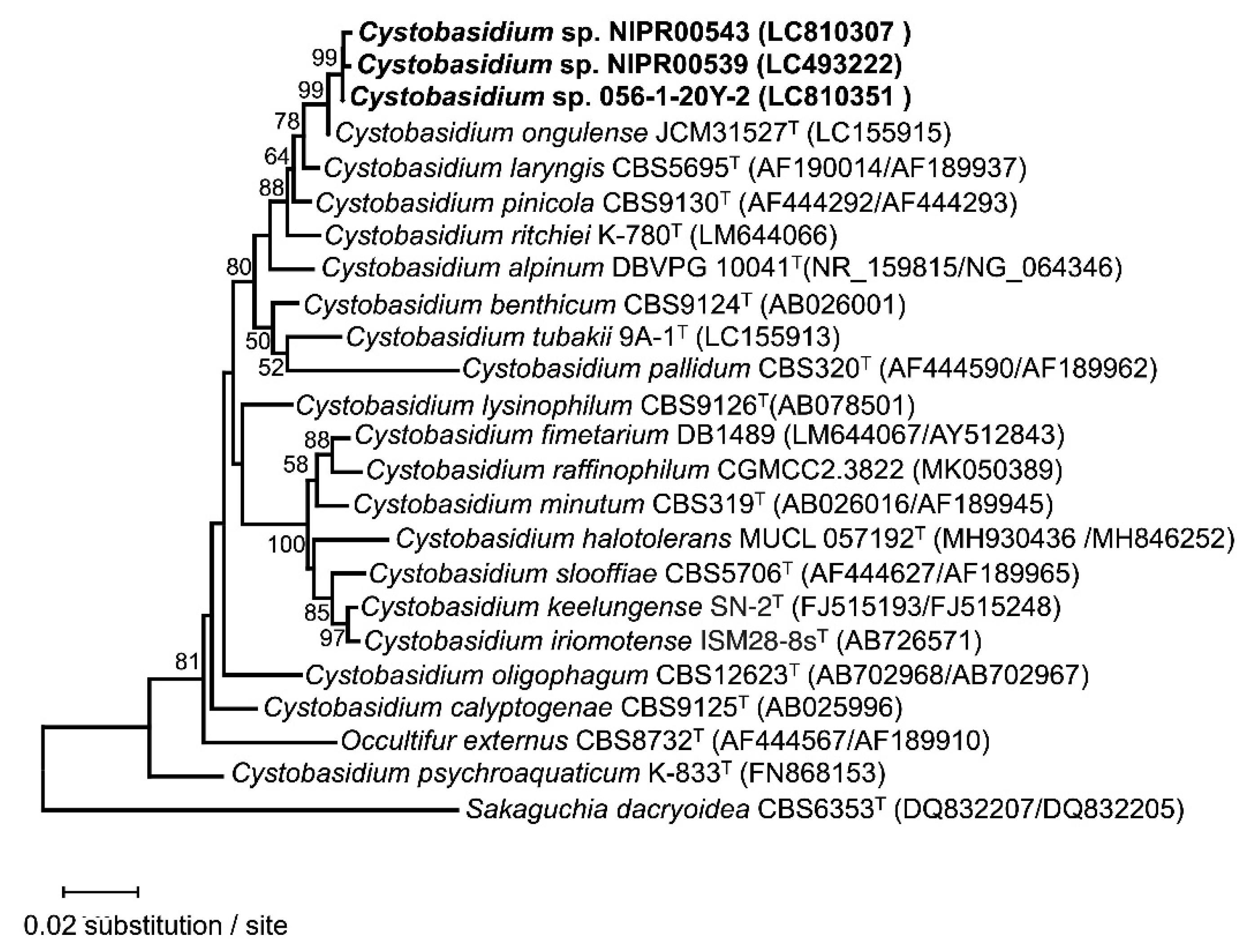 Preprints 112860 g002