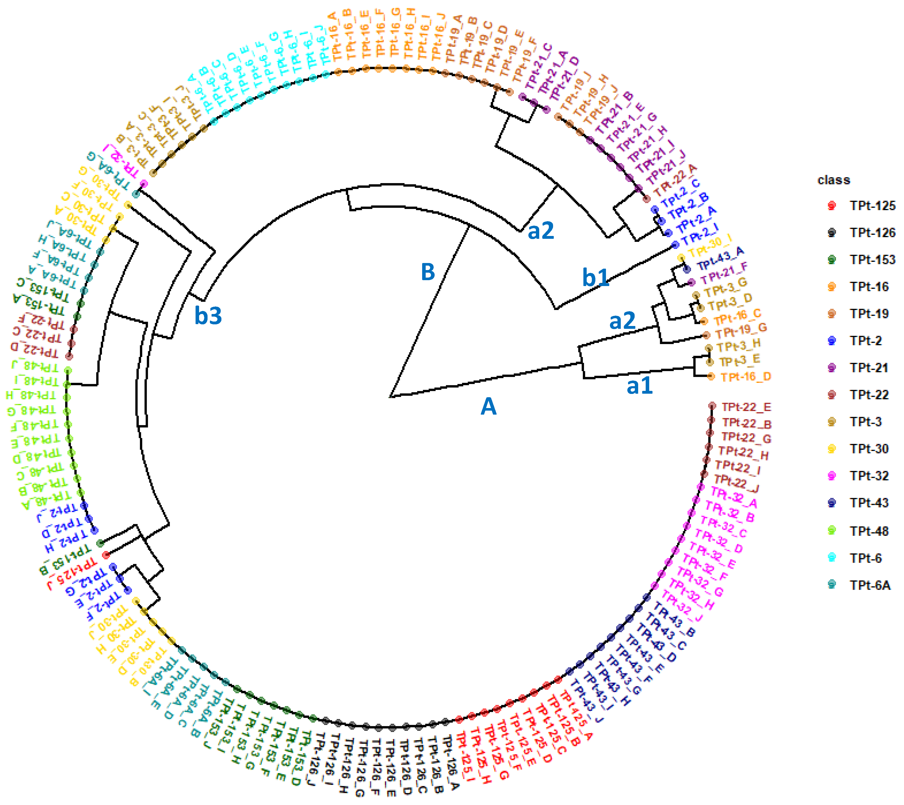 Preprints 75976 g006