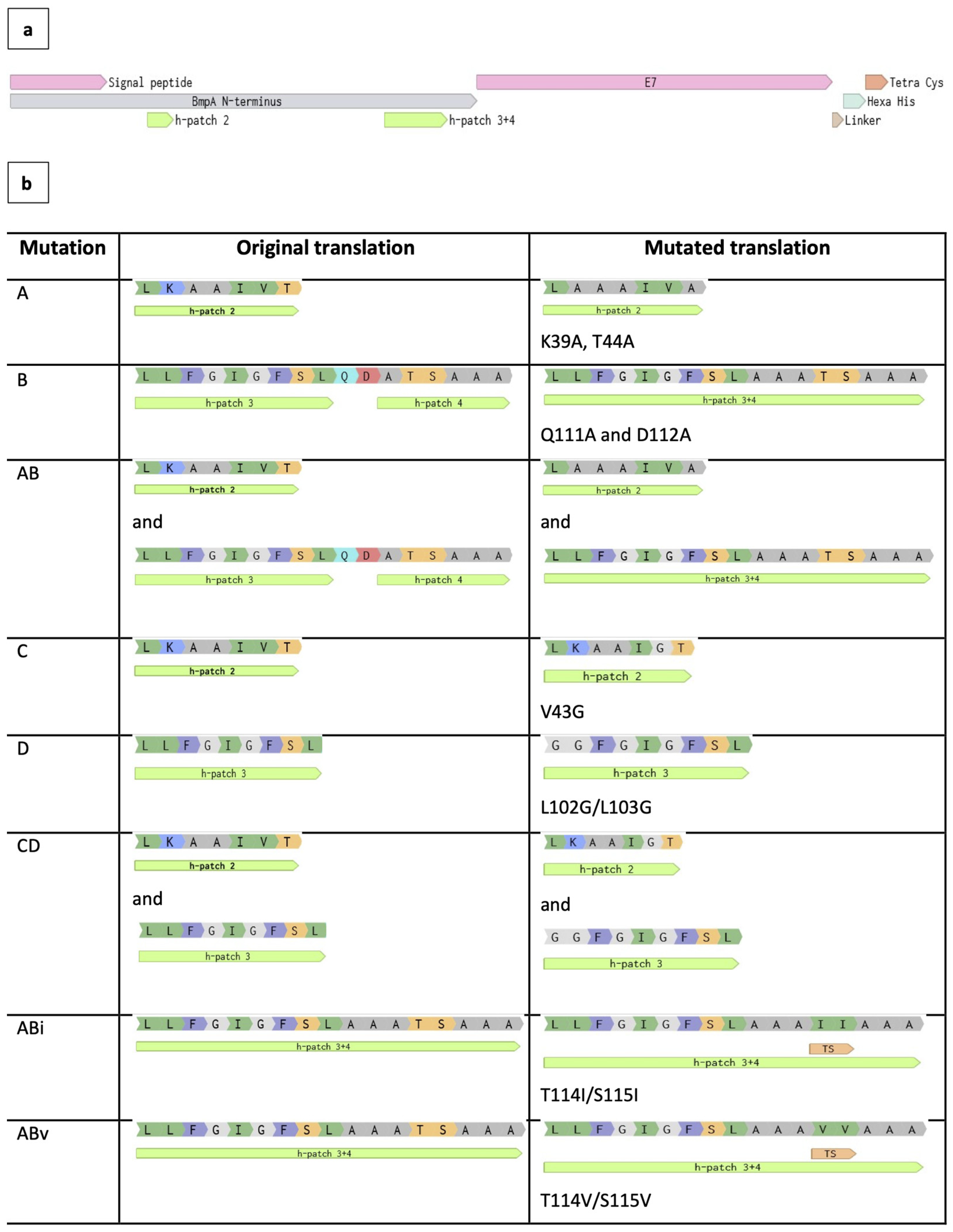 Preprints 115337 g004