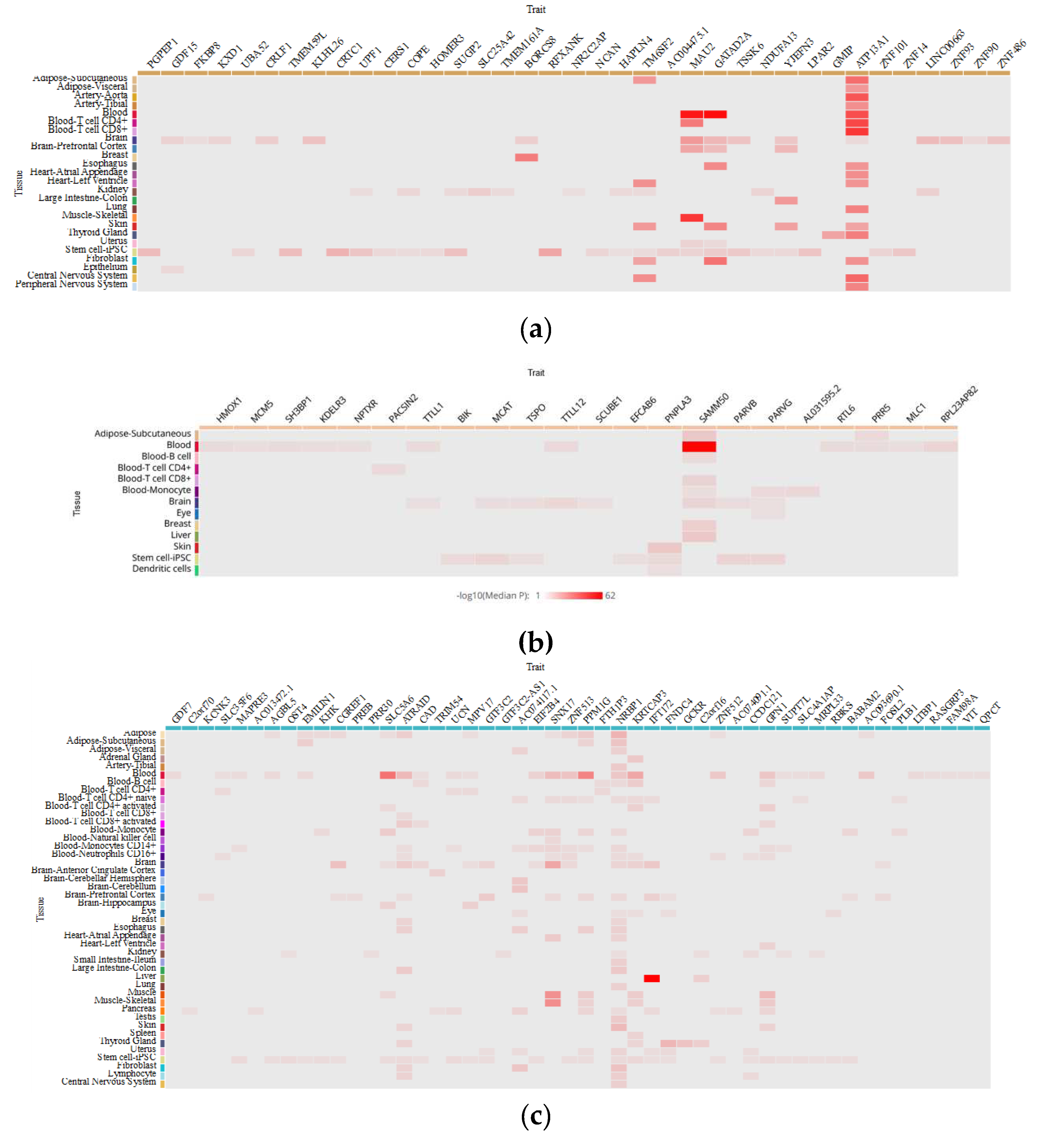 Preprints 78820 g002a