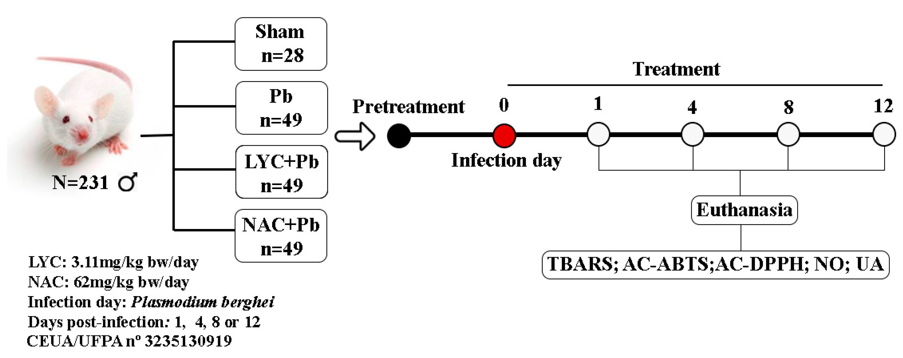 Preprints 88437 g006