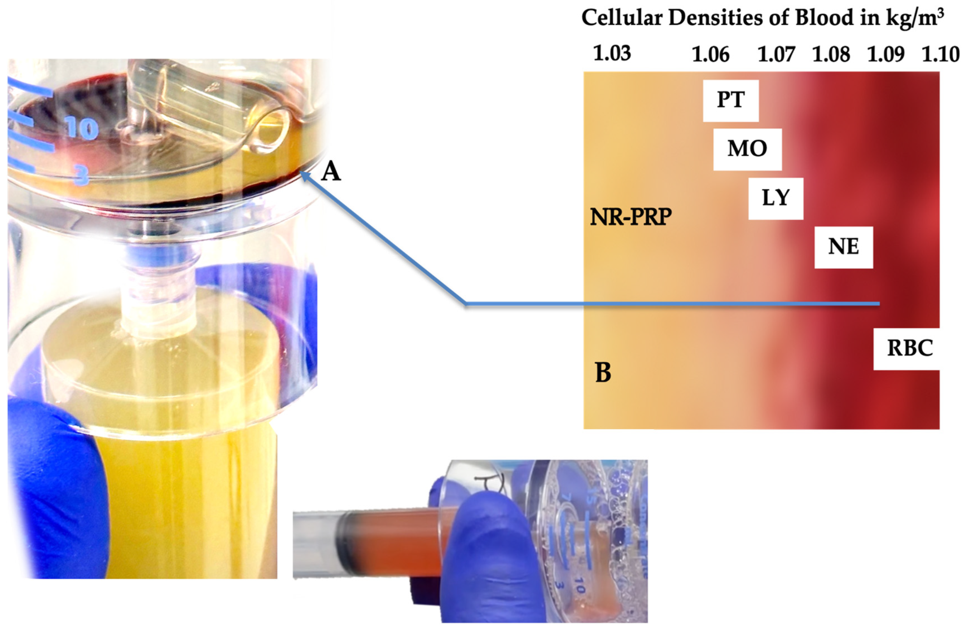 Preprints 76205 g001