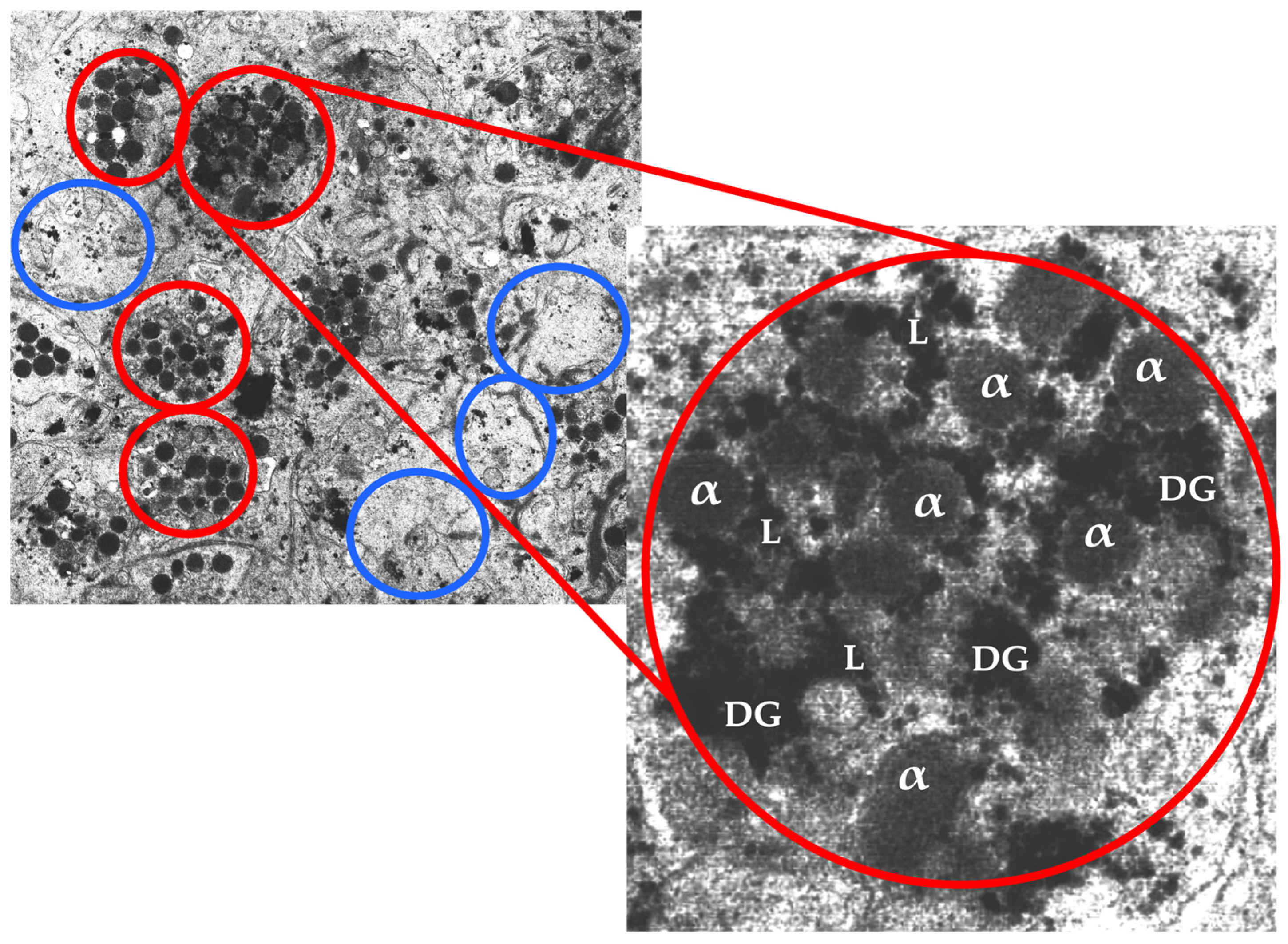 Preprints 76205 g002