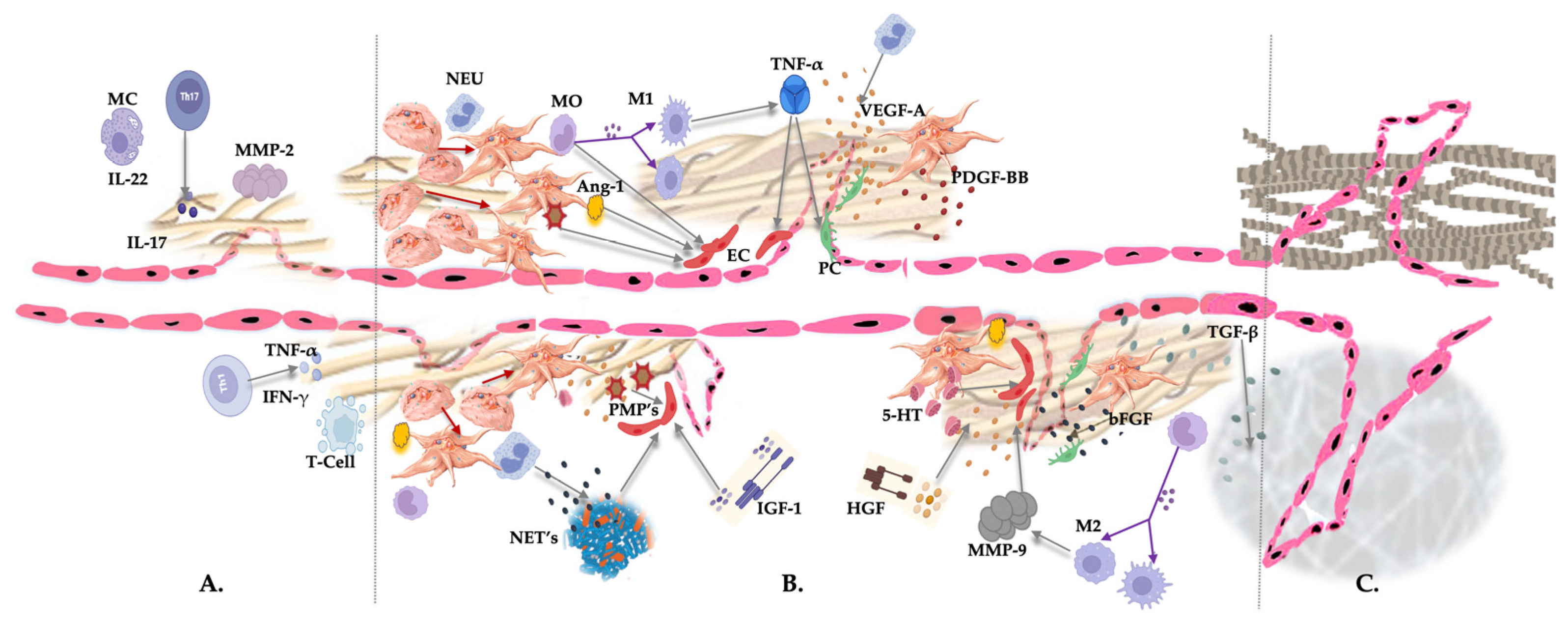 Preprints 76205 g004