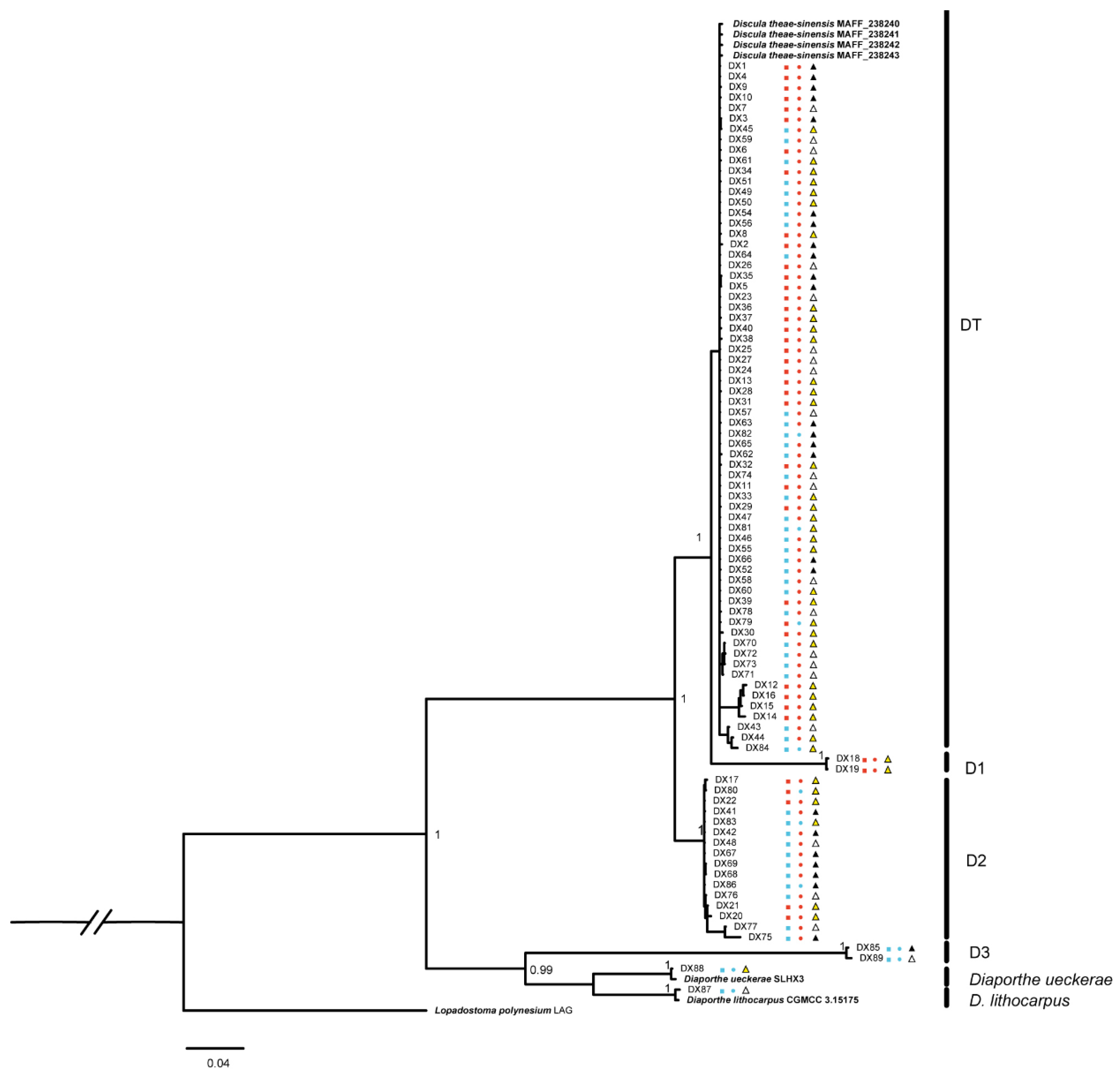 Preprints 81598 g002