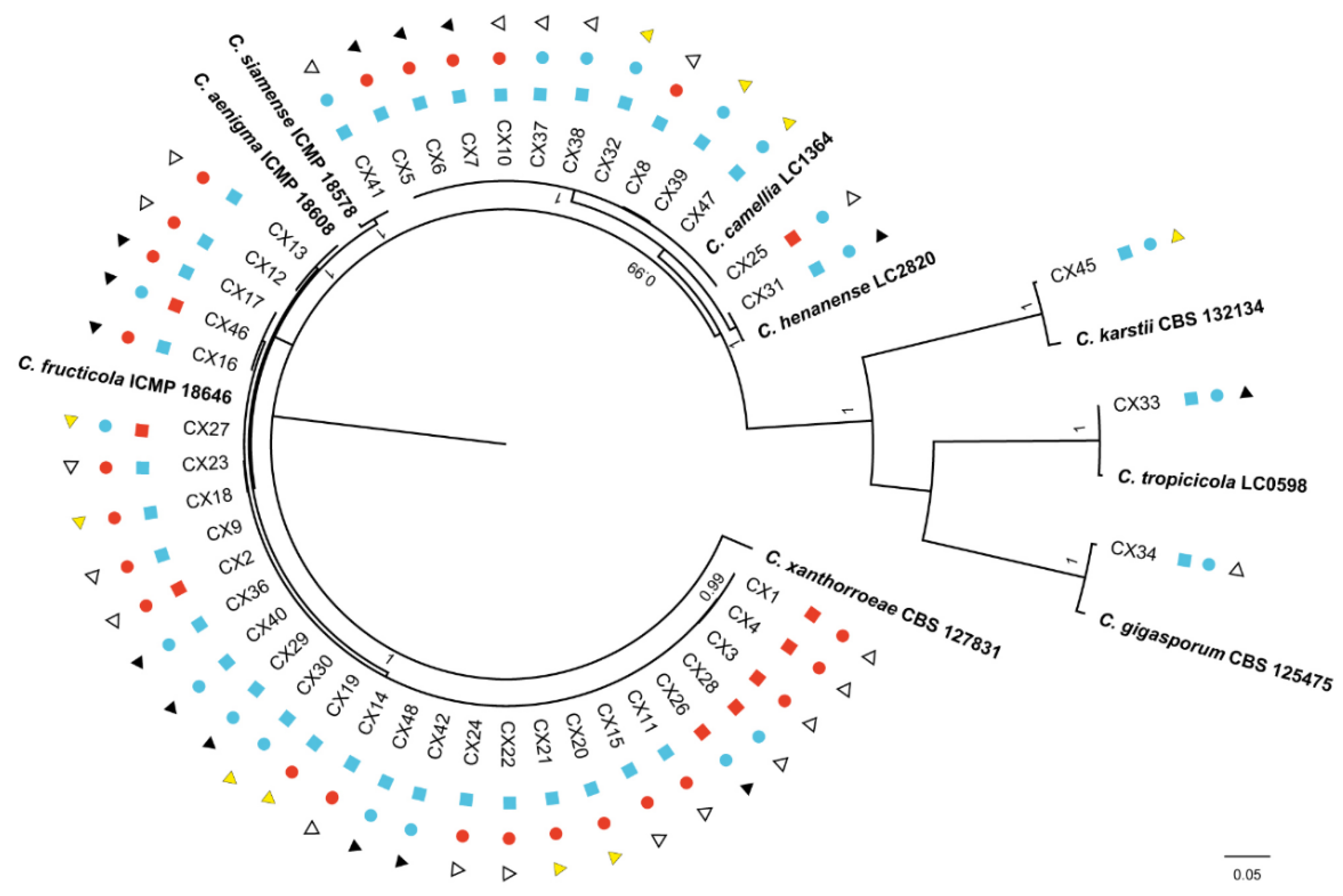 Preprints 81598 g007