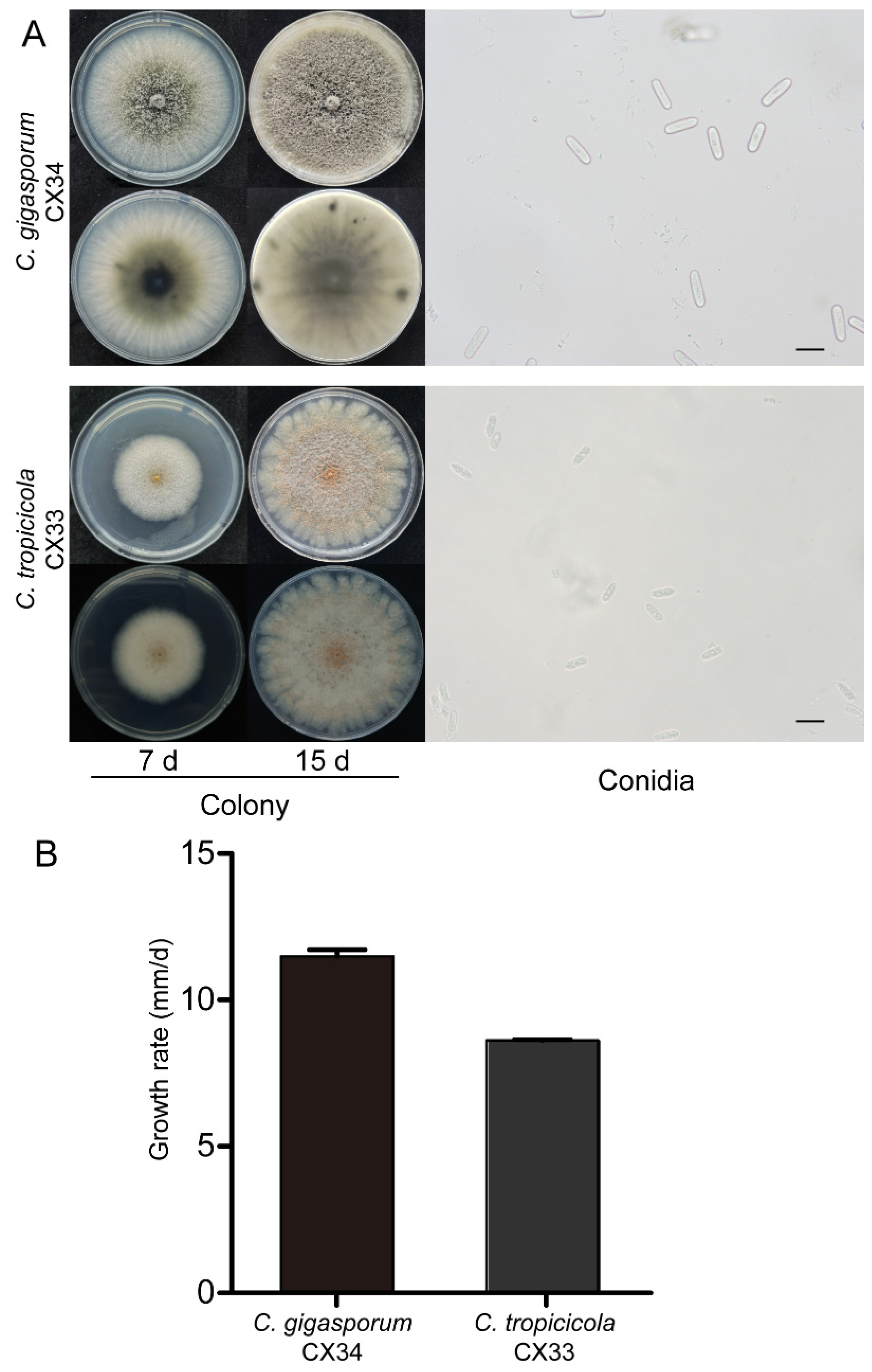 Preprints 81598 g008