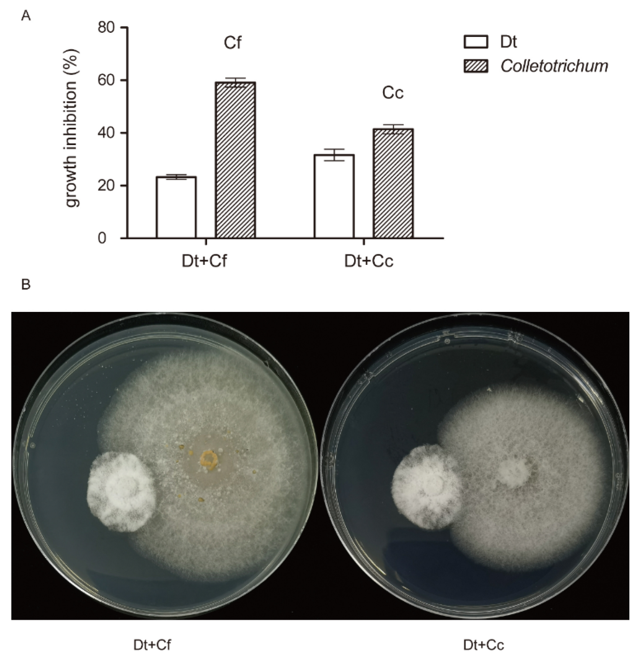 Preprints 81598 g011