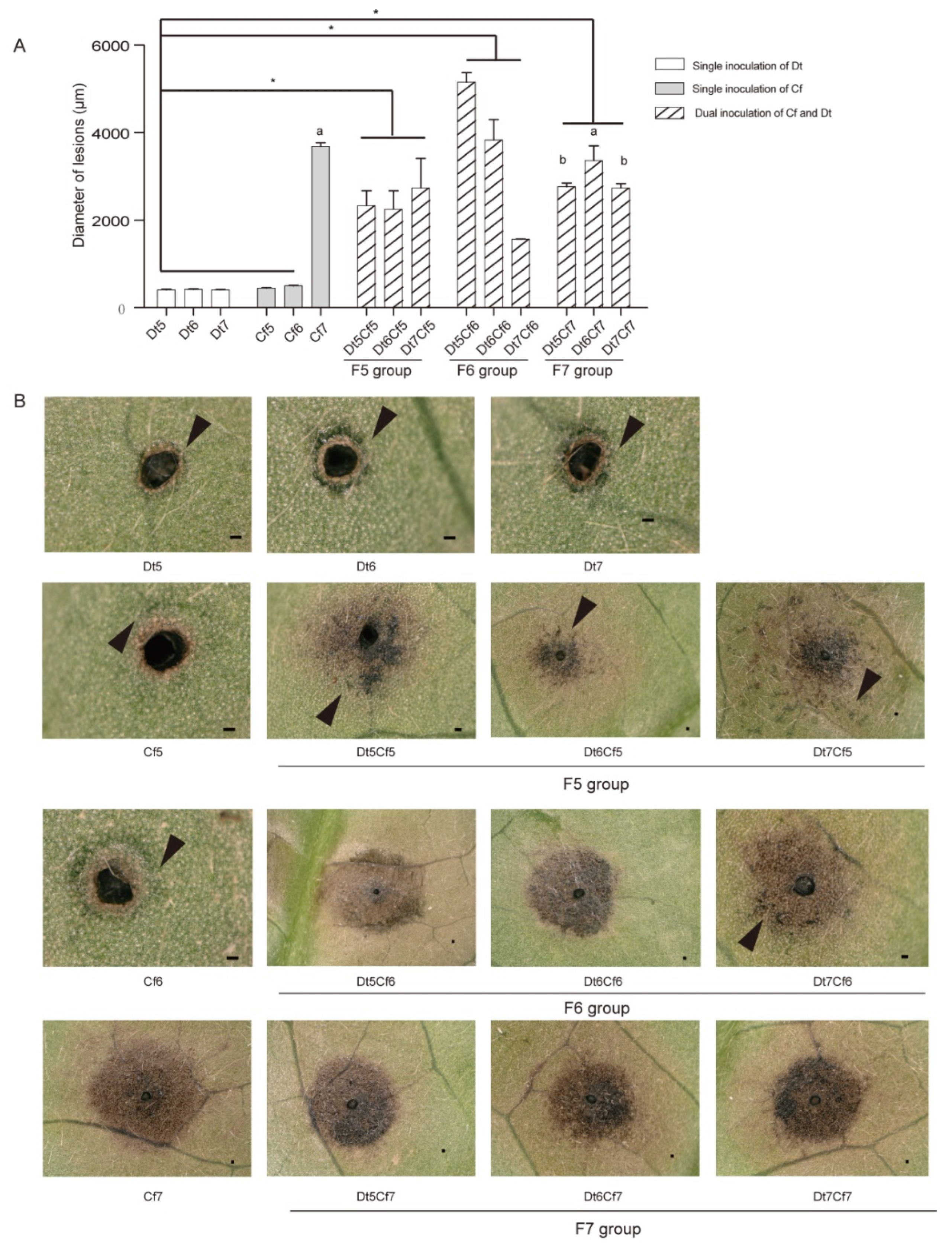 Preprints 81598 g013