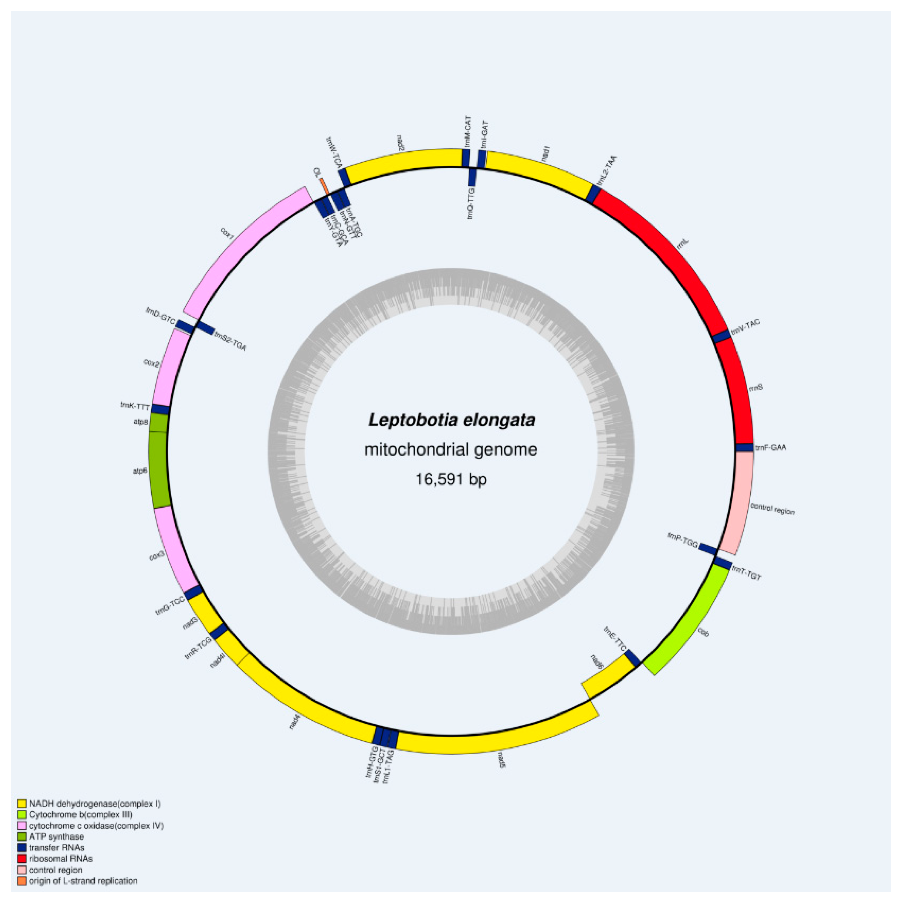 Preprints 88733 g001