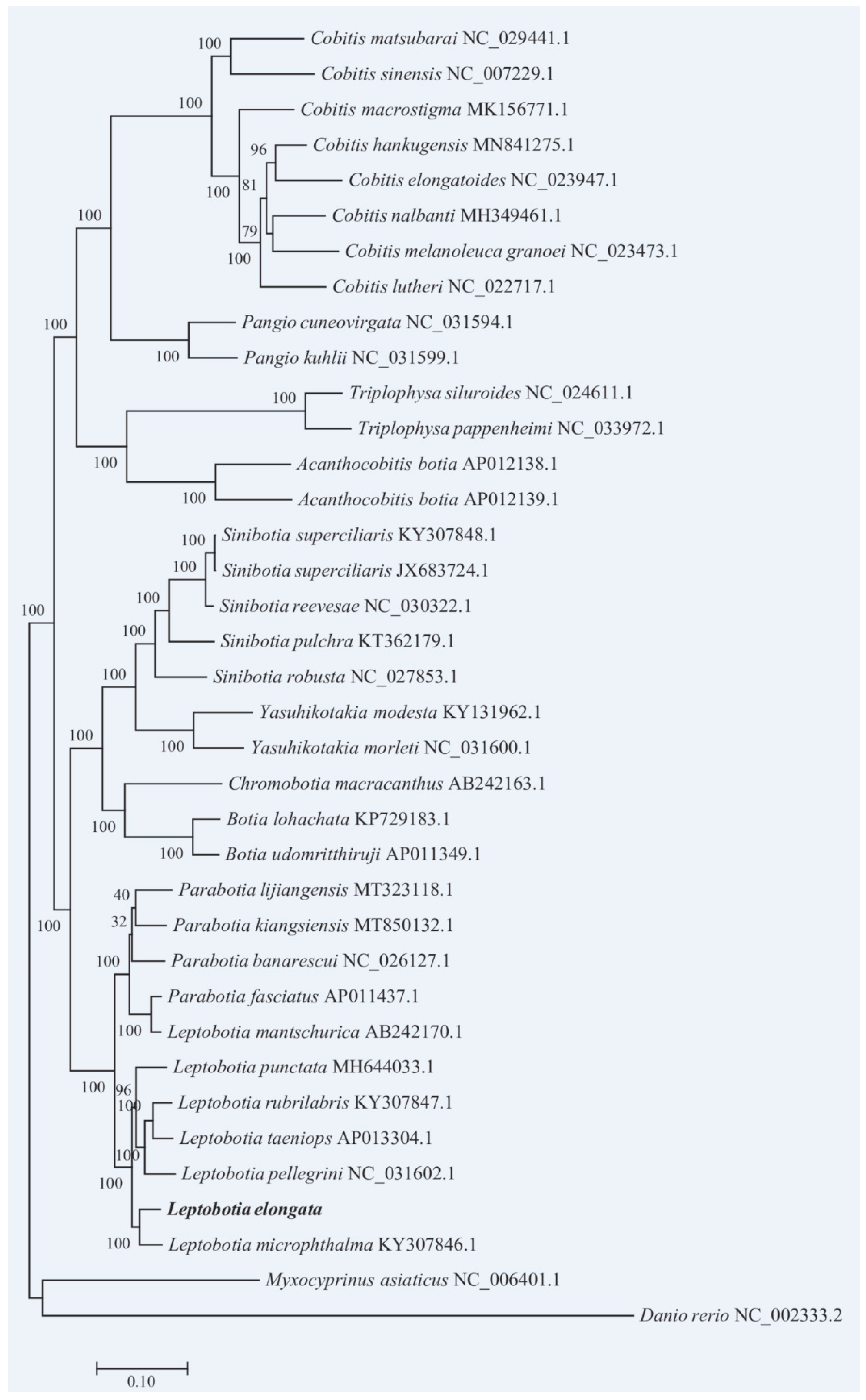 Preprints 88733 g008