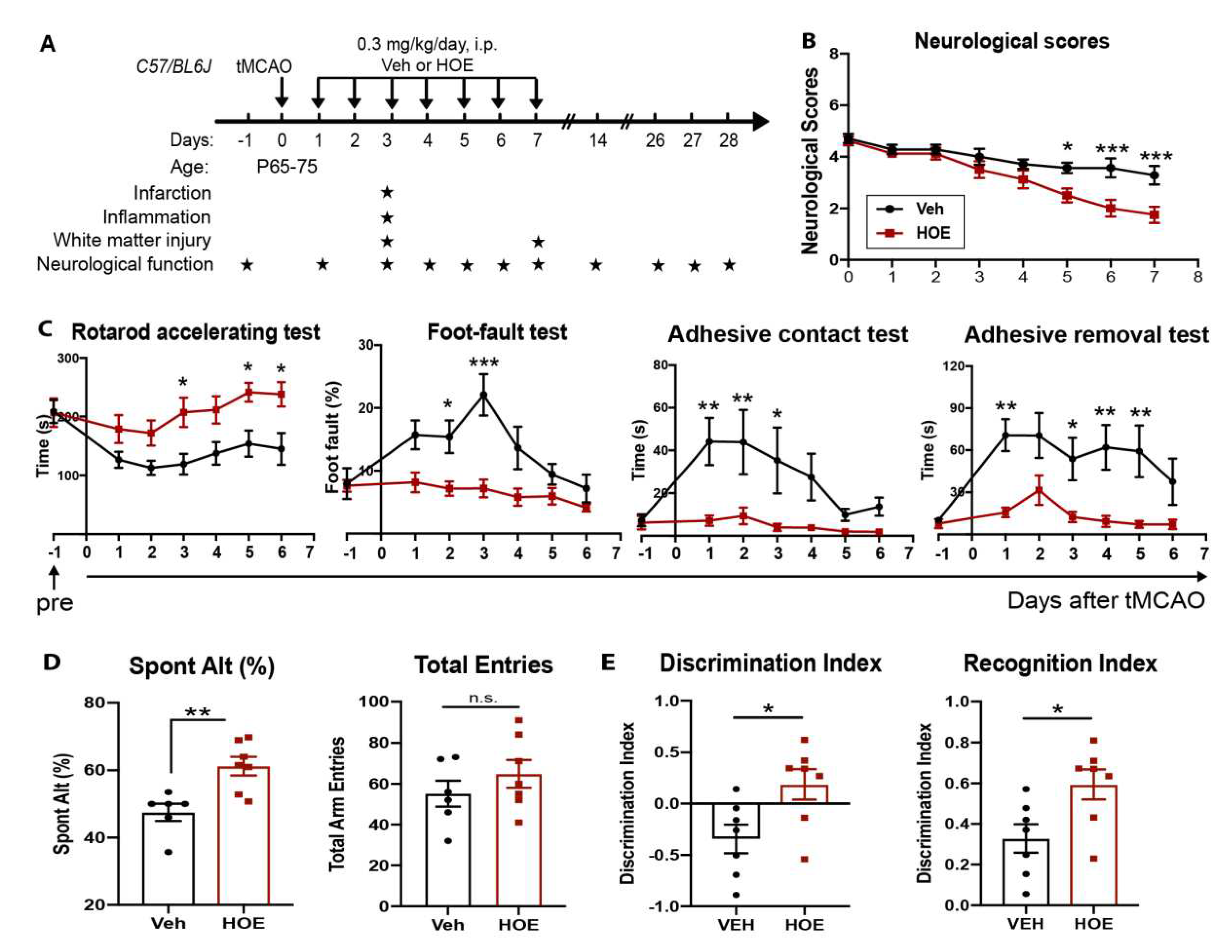 Preprints 82300 g001